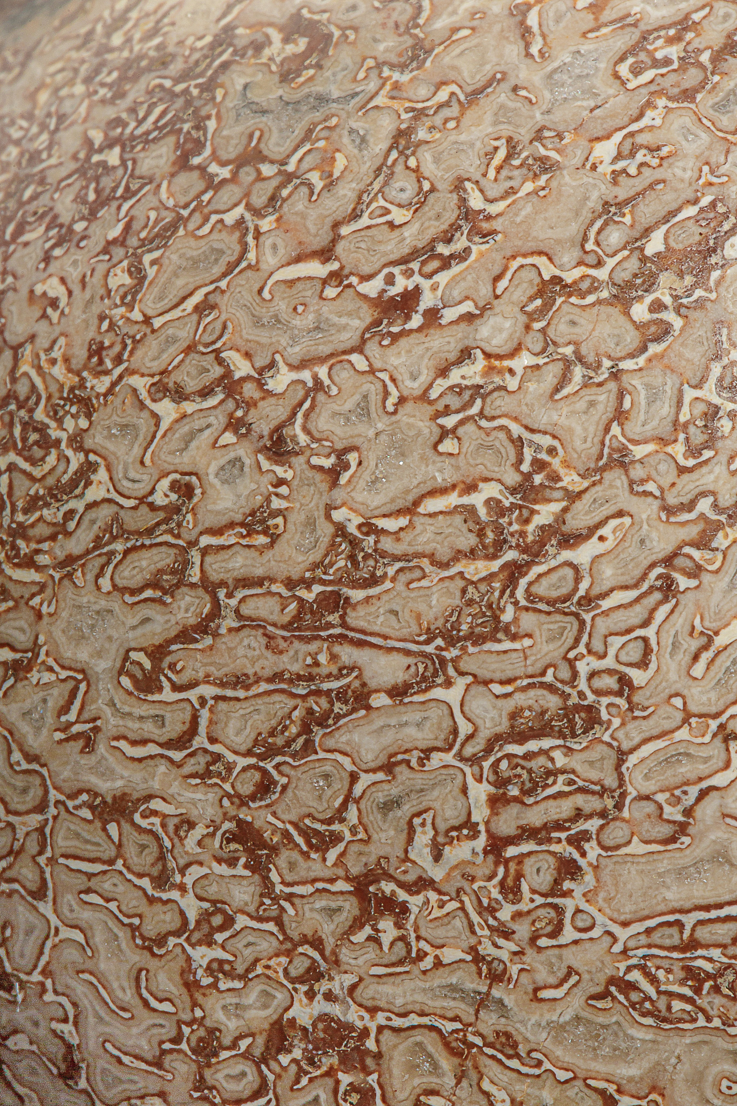 Профессиональная обработка натуральных камней, минералов и ископаемых | Студия SVITHART