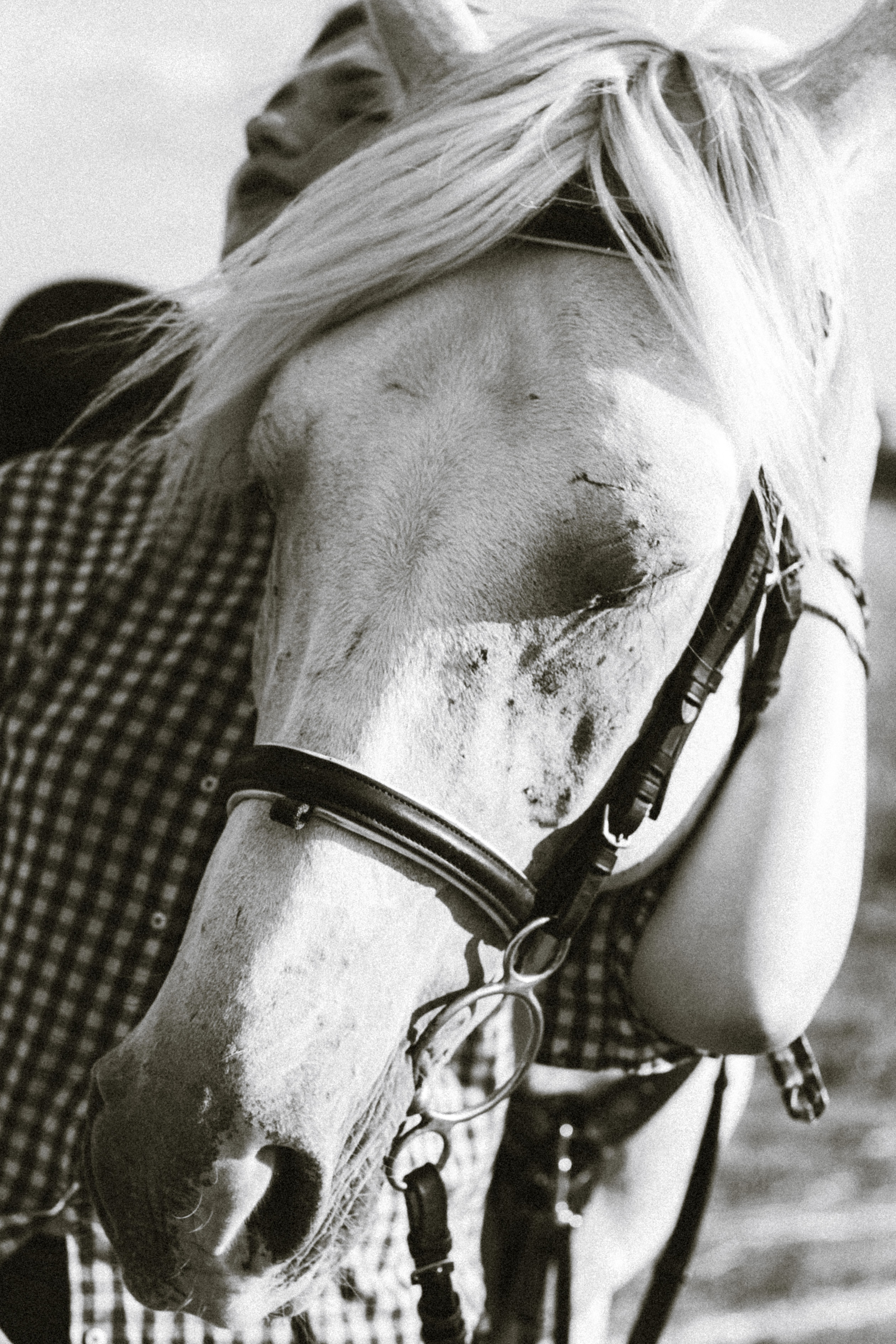 Аnne. Фотограф города Уральск Ольга Василец