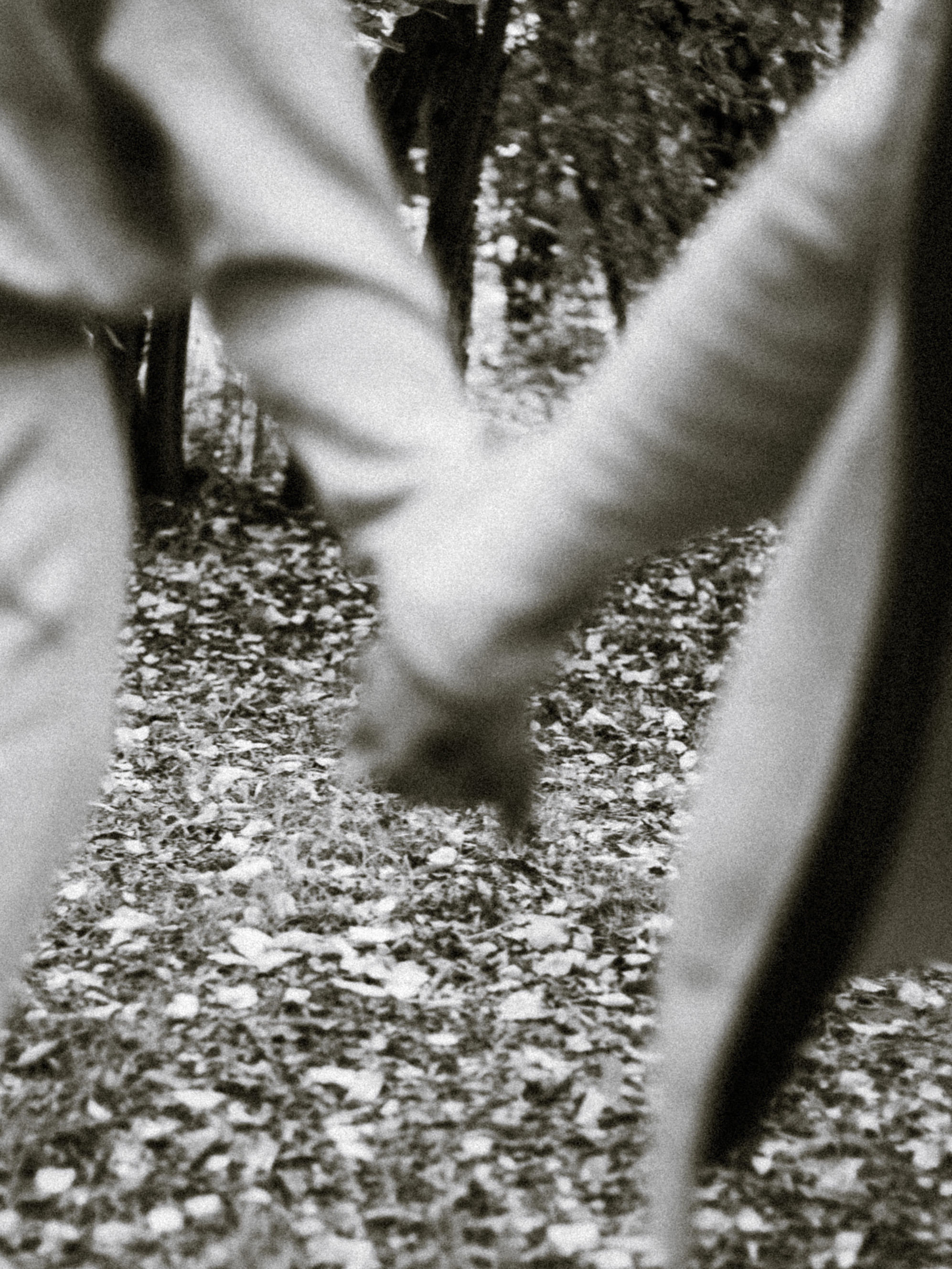 Lilya&Dimа. Фотограф города Уральск Ольга Василец