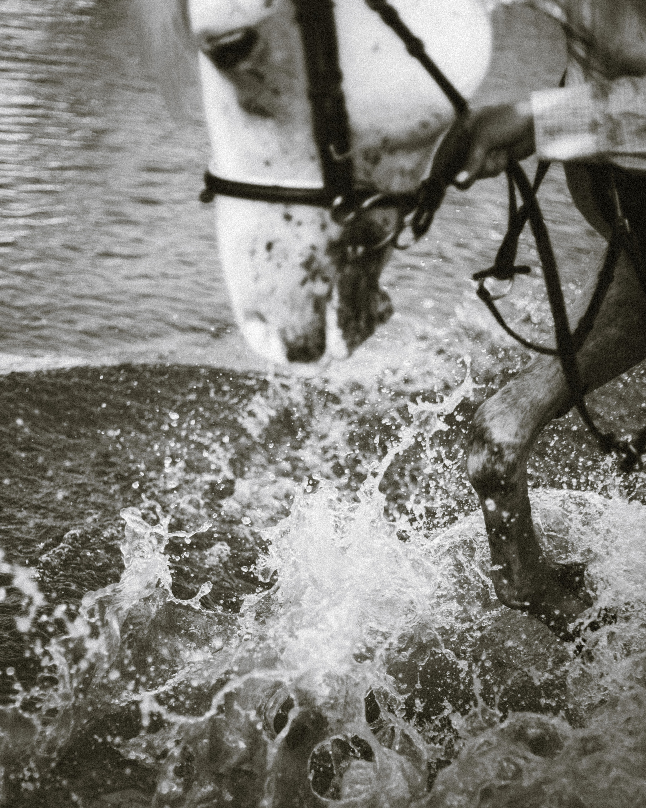 Аnne. Фотограф города Уральск Ольга Василец