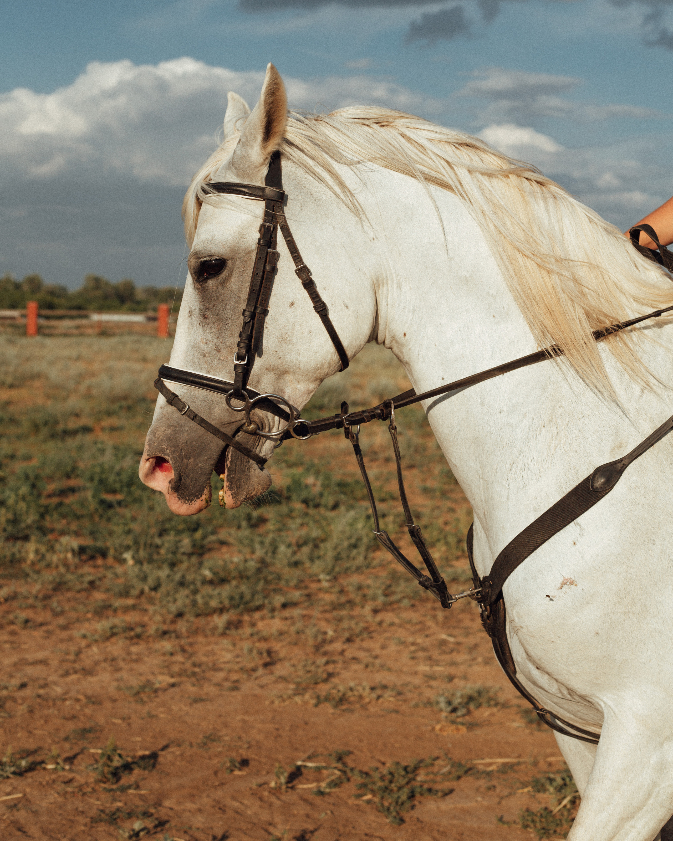 Аnne. Фотограф города Уральск Ольга Василец