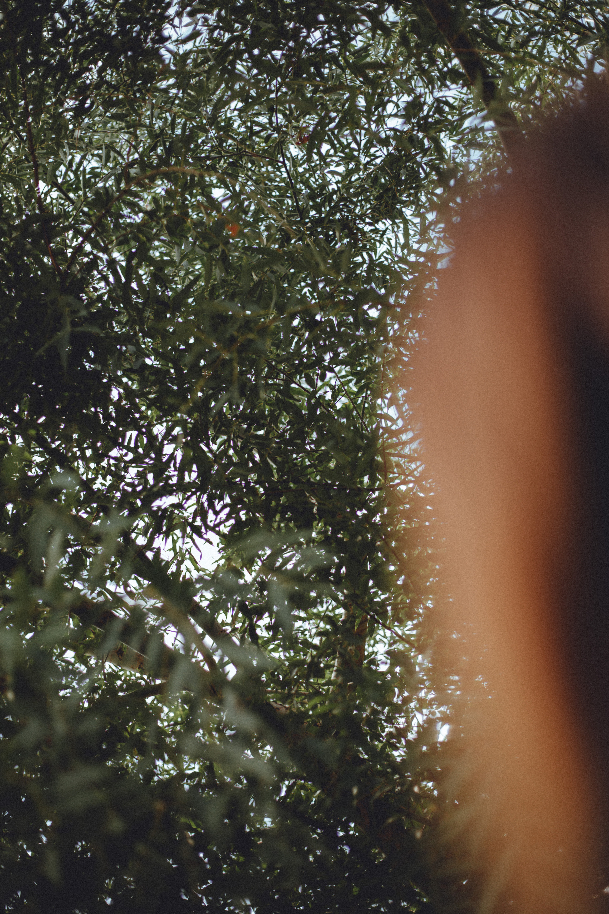 Dasha. Фотограф города Уральск Ольга Василец