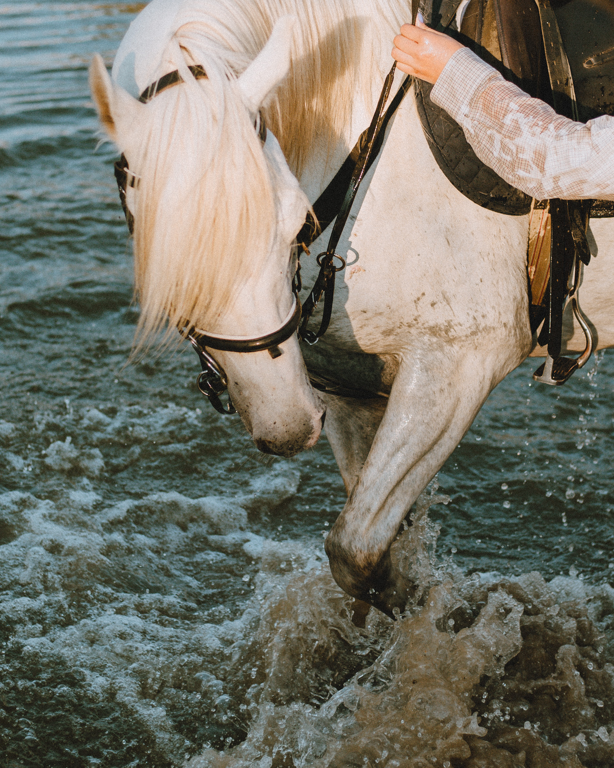 Аnne. Фотограф города Уральск Ольга Василец