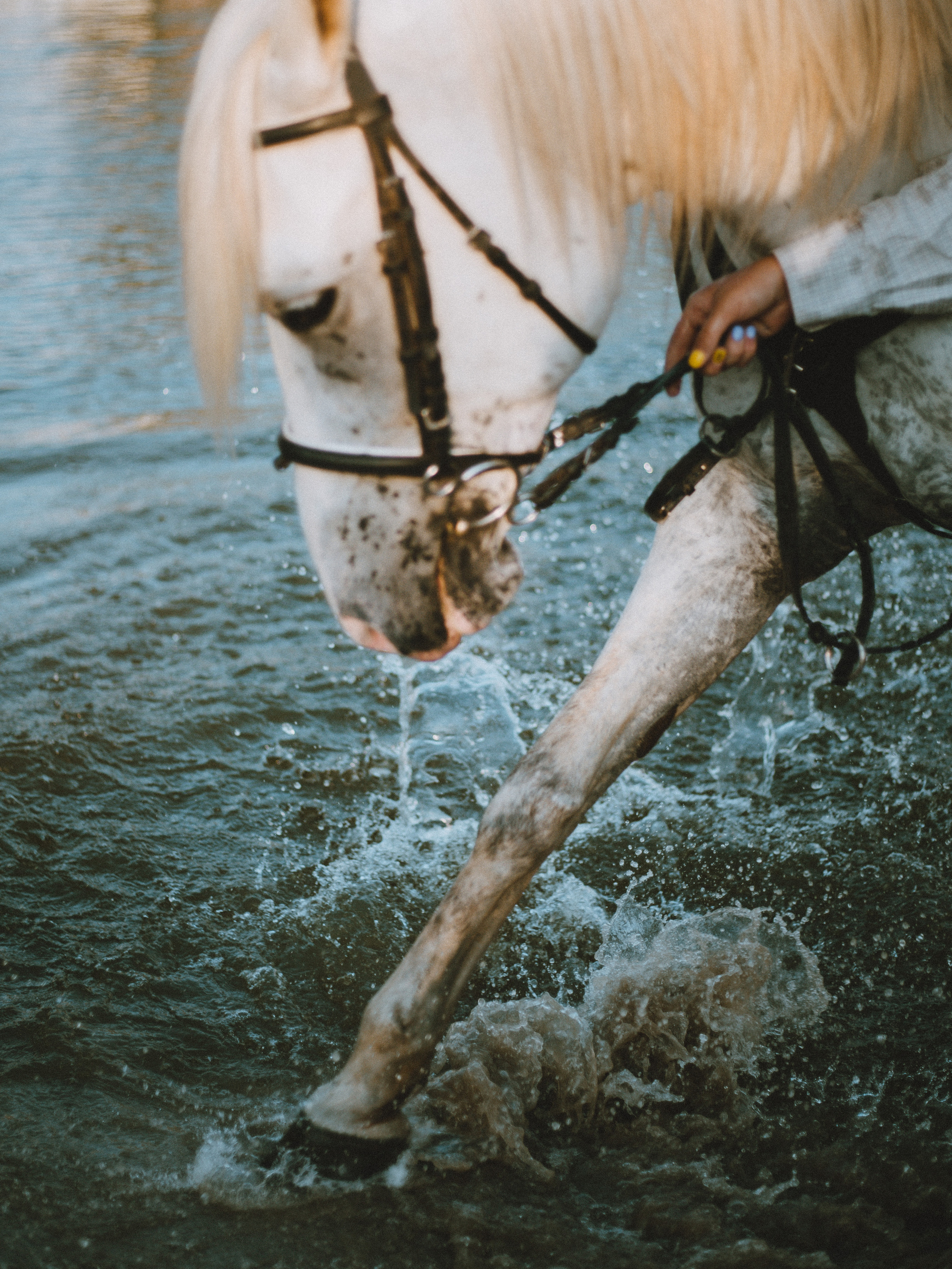 Аnne. Фотограф города Уральск Ольга Василец