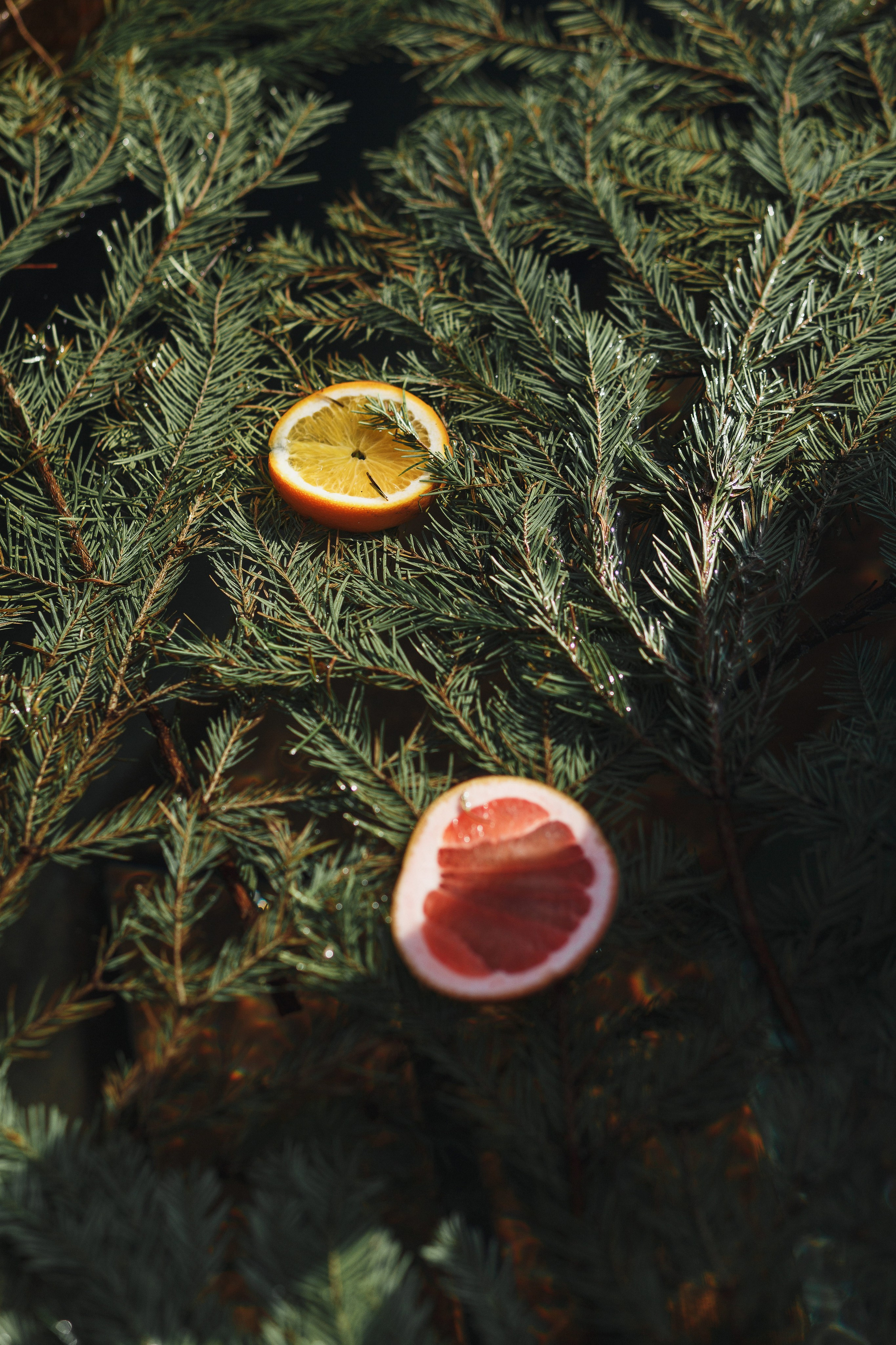 Исключительный опыт природного роскоши: Глэмпинг в Таганроге. Свадебный и семейный фотограф в Таганроге Бакарюк Антон