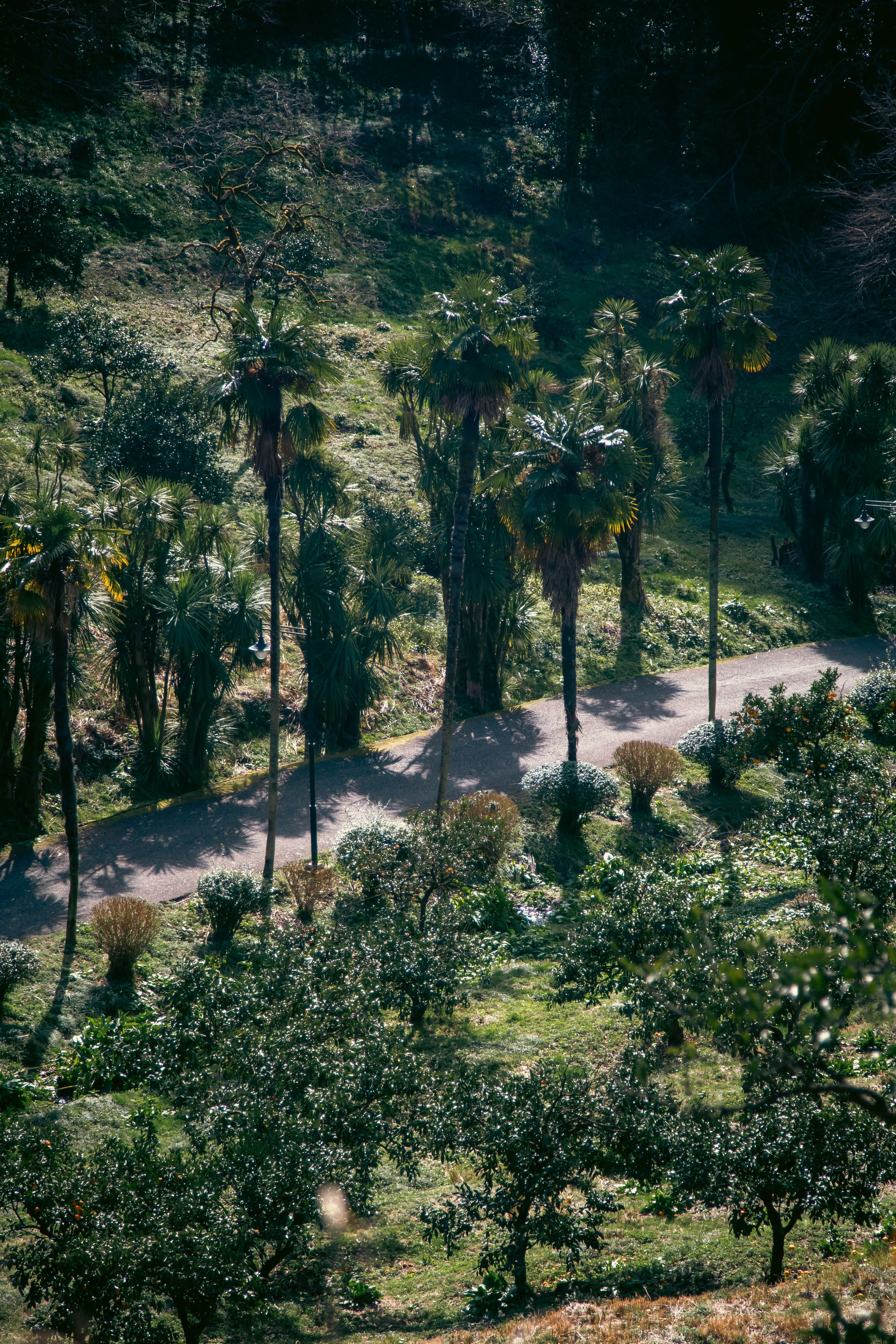 Batumi. Dmitriy [KCCC] is a pretty cool photographer