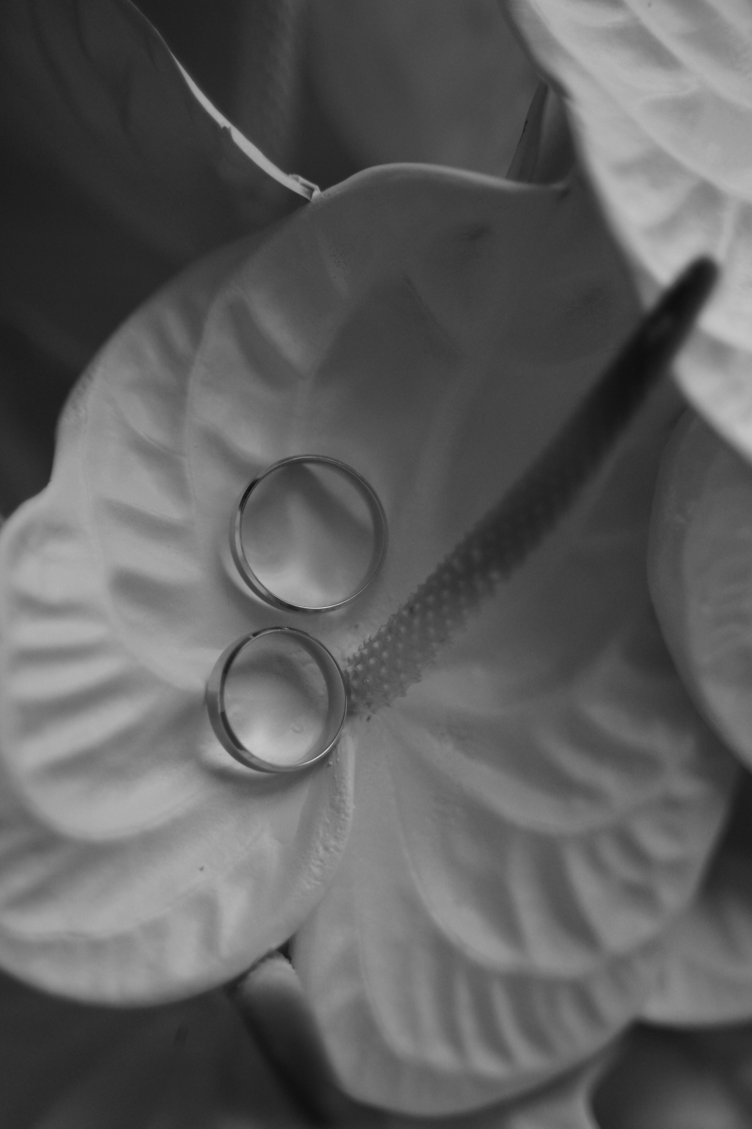 Ольга и Виктор. Свадебный фотограф Марина Попова