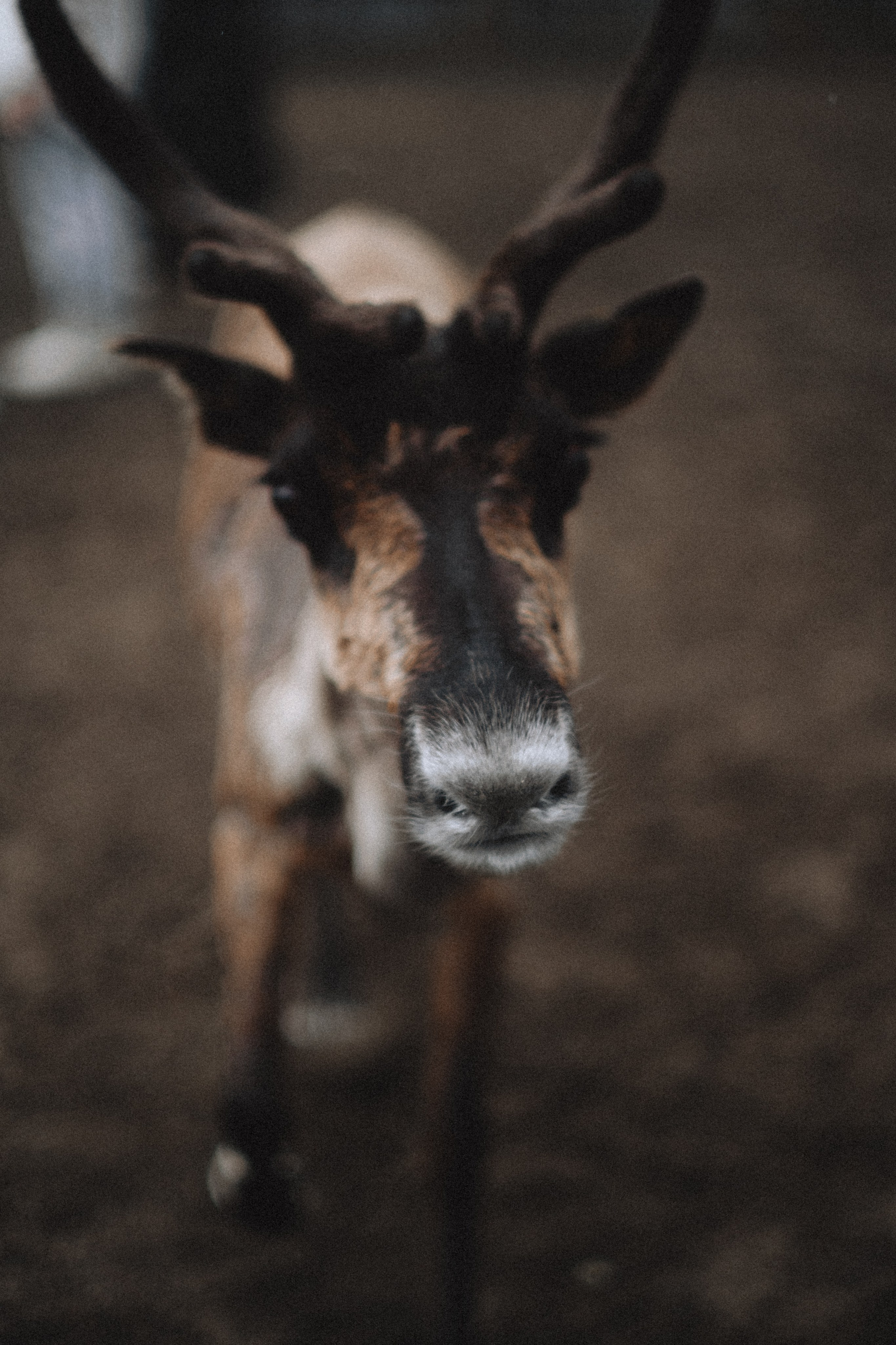Териберка, Мурманск. Фотосъёмка для компании по организации туров в коллаборации с Яндекс 360