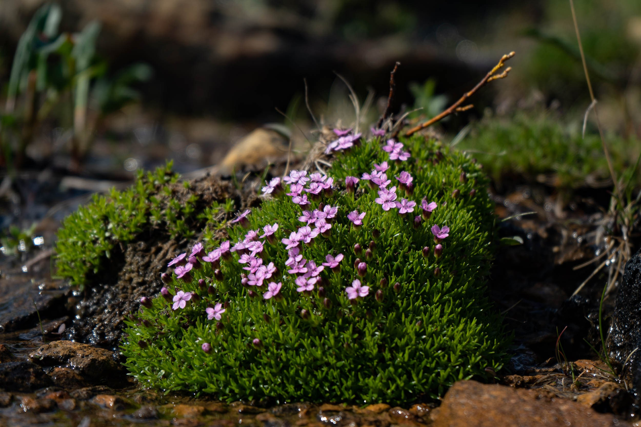 Галерея. Фотограф Екатерина Зорина