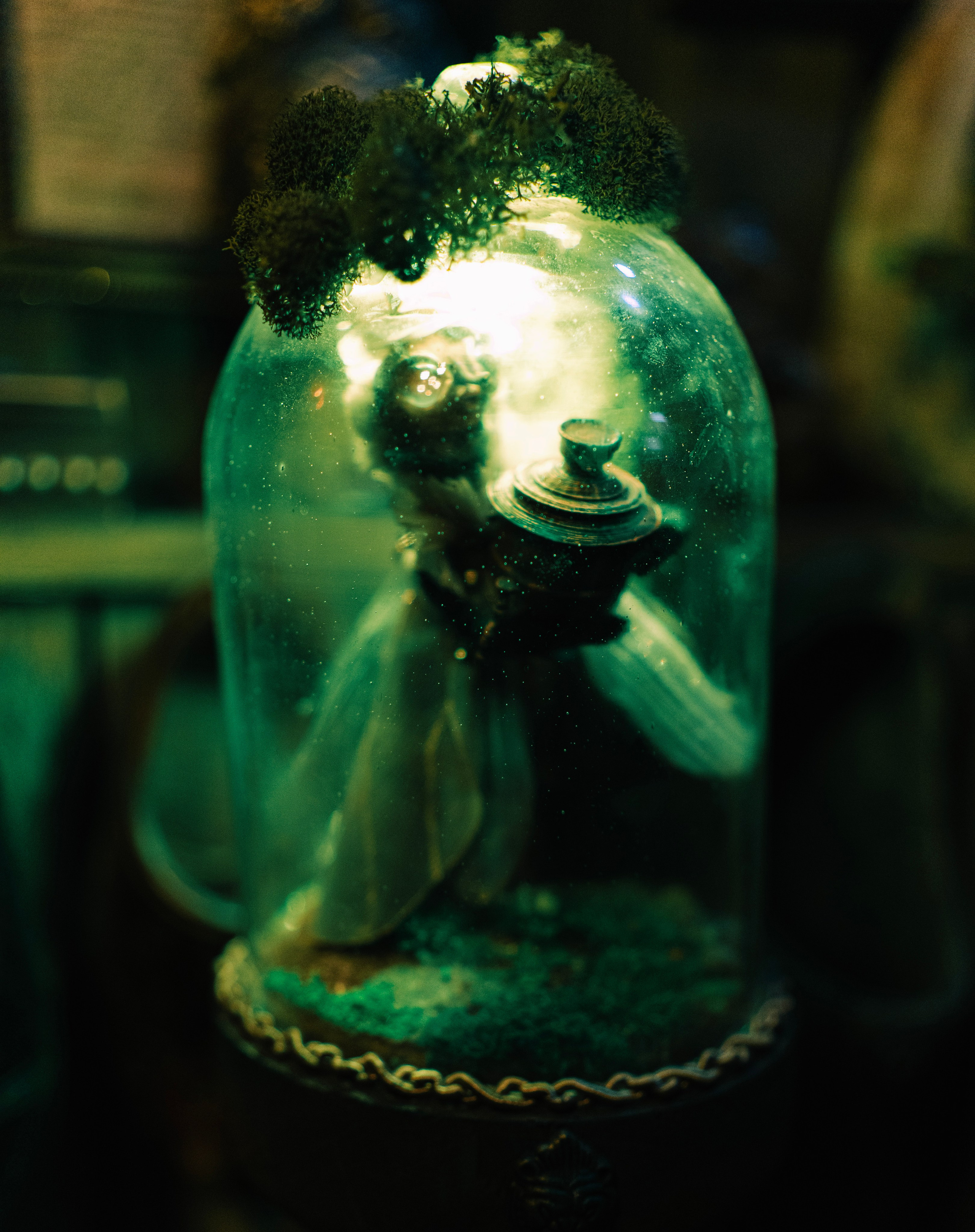 Небылица. Баев Дмитрий — фотограф из СПБ