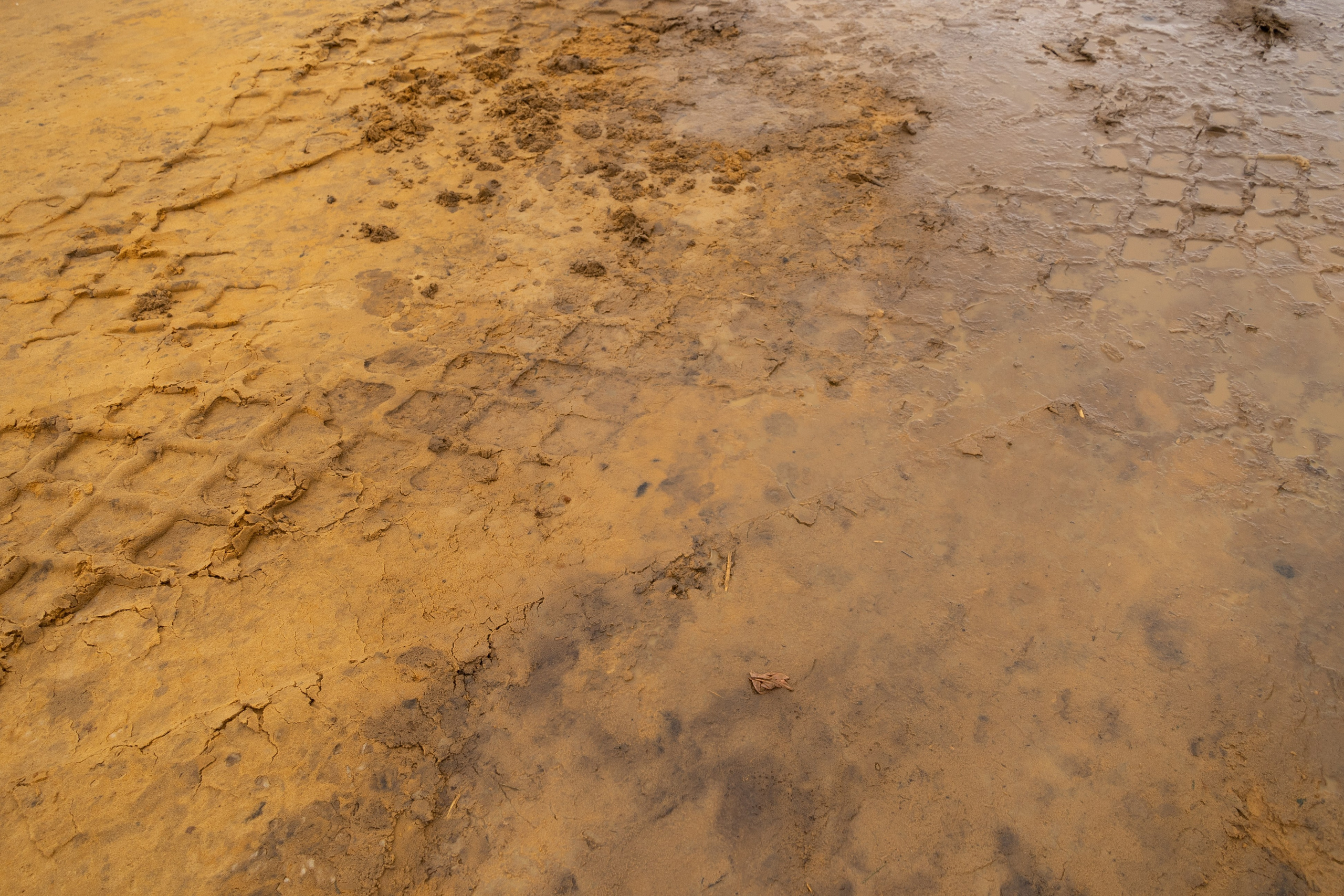 Я здесь живу. DASHA KALNINA