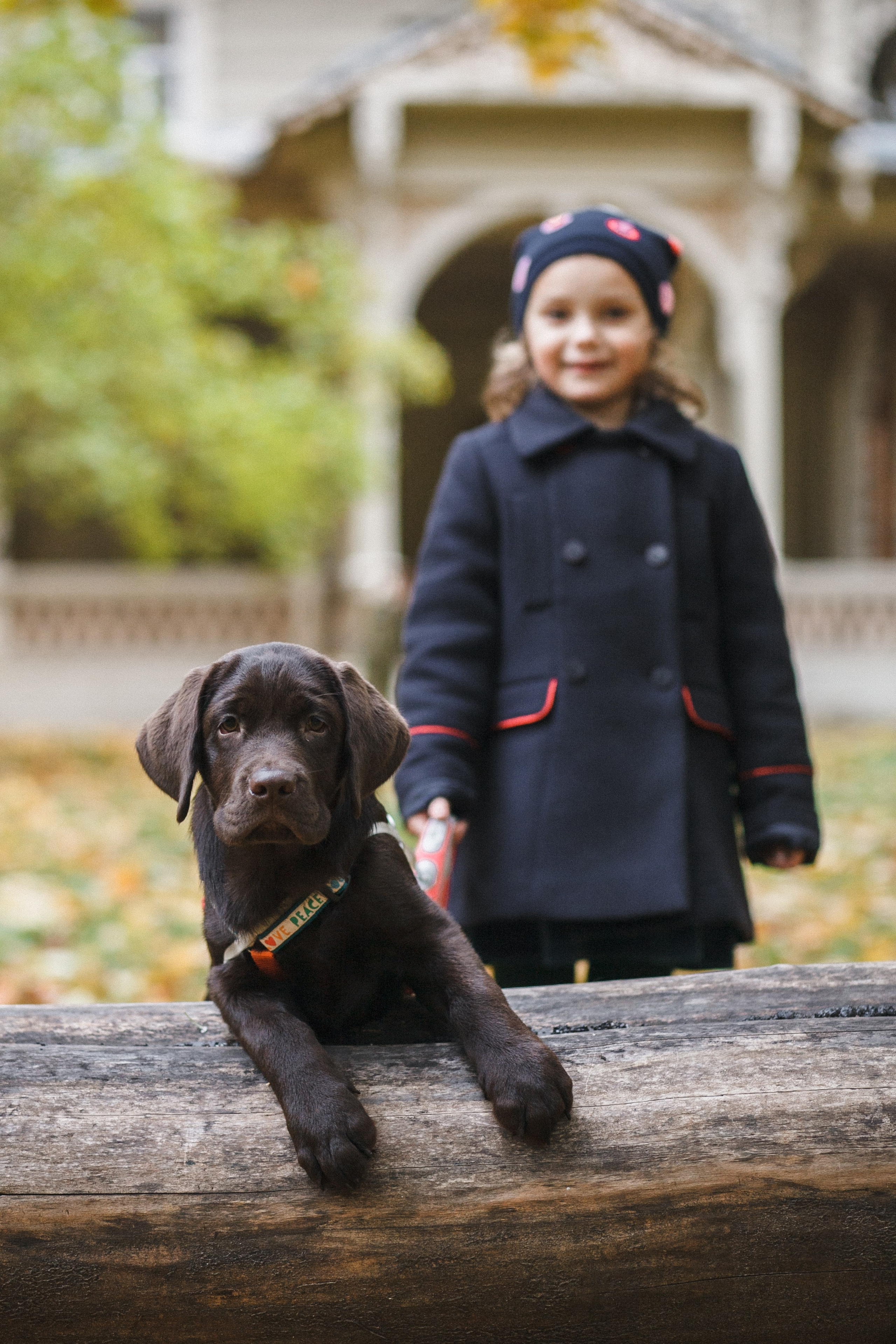 4 ноги, Терем, чай и 1 маленький хвост. Семейный фотограф, свадебный фотограф, женский портрет в Санкт-Петербу
