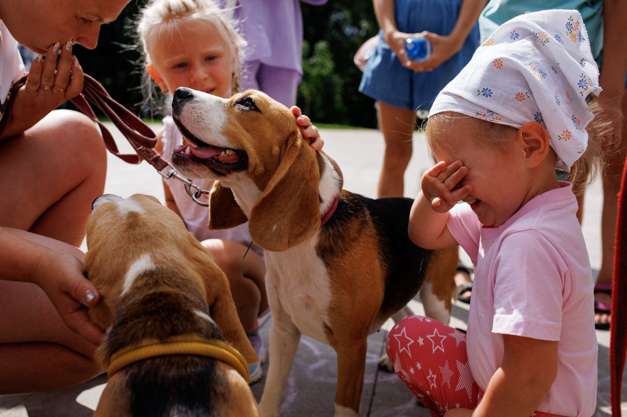Соловьиное лето 2024. Спортивный фотограф Вадим Добедченков