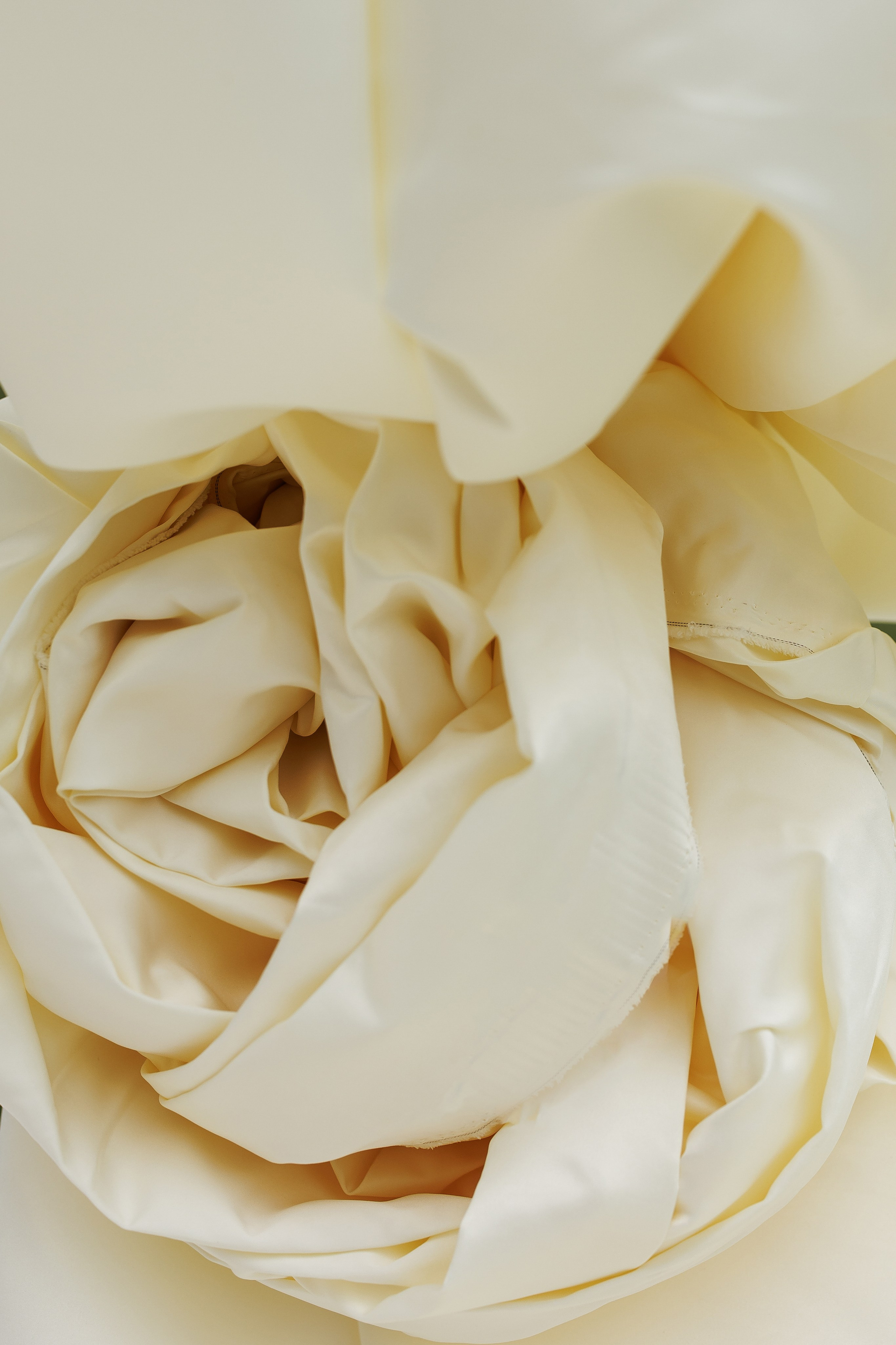 Кирилл & Анастасия. Организатор- Елена Гаманович. Главная