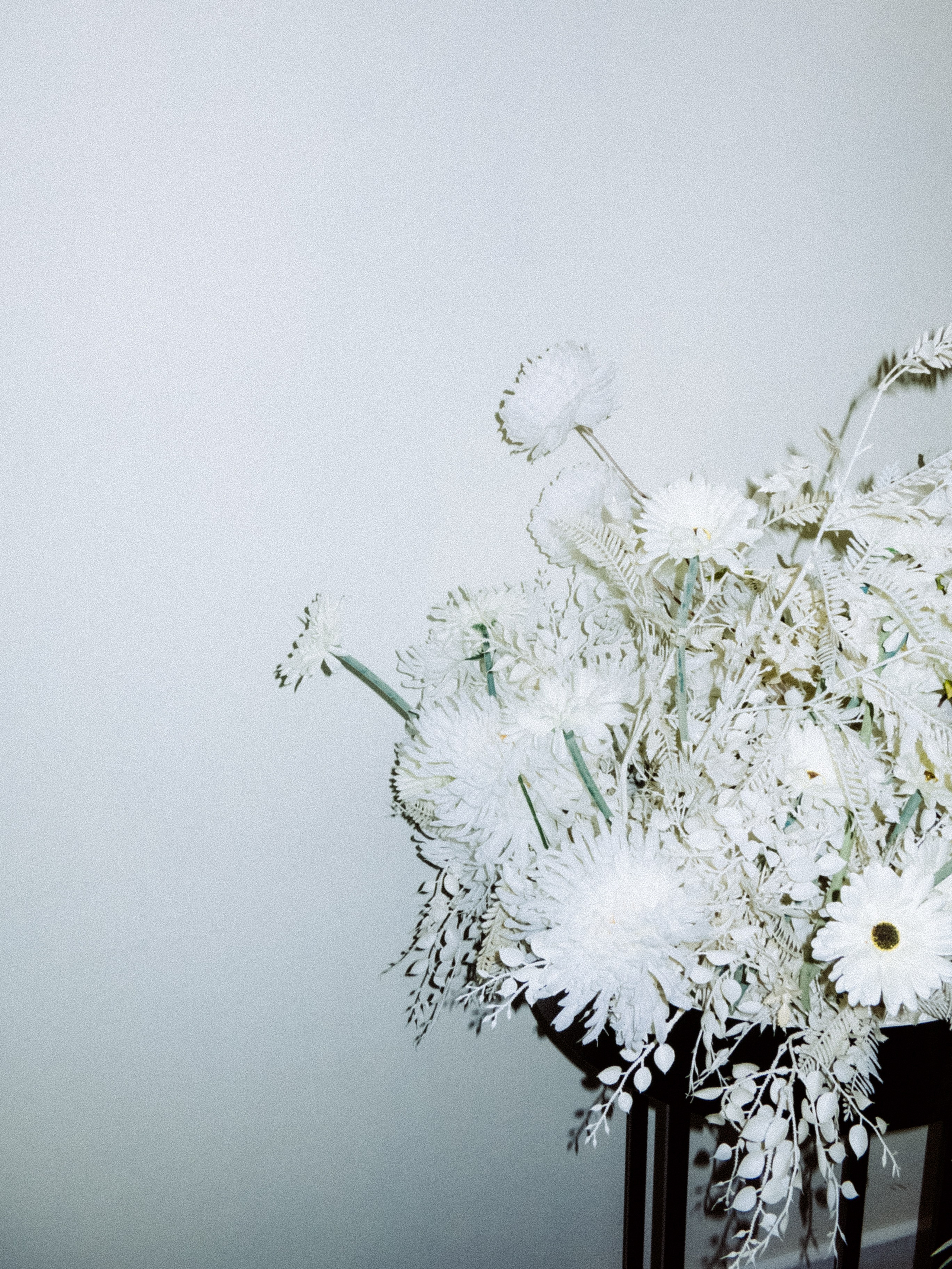 Дмитрий & Ангелина