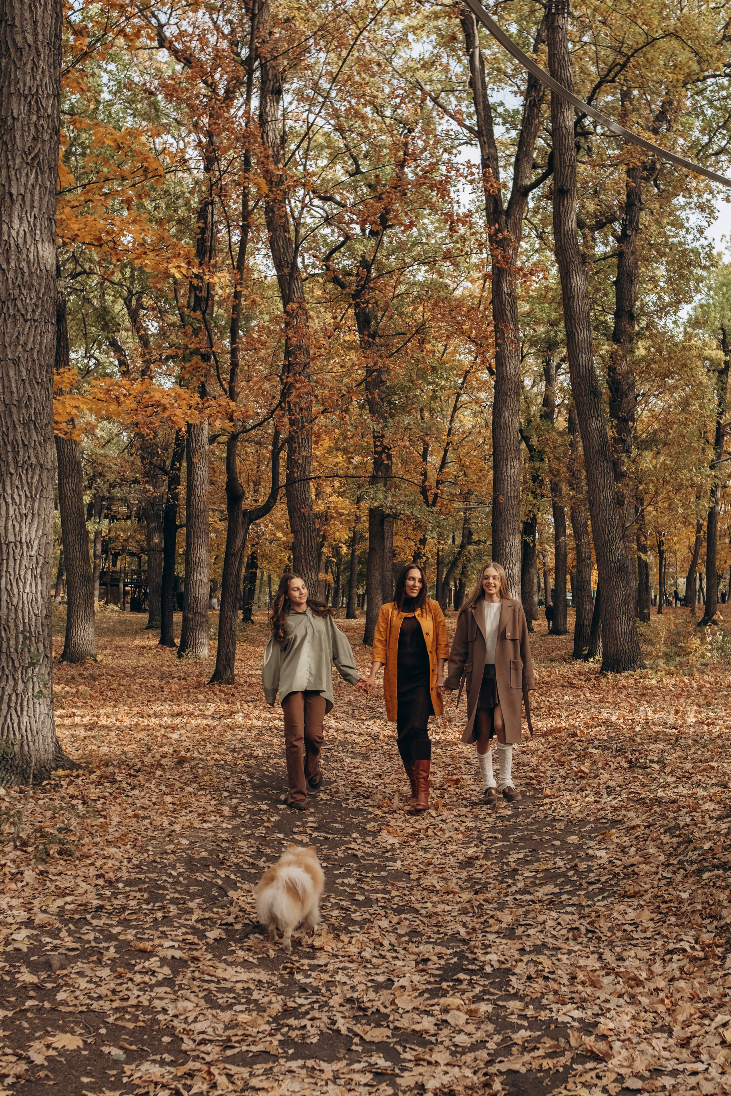 Загородный парк, осень. СЕМЕЙНЫЙ ФОТОГРАФ ЕЛЕНА МЕДВЕДЕВА САМАРА