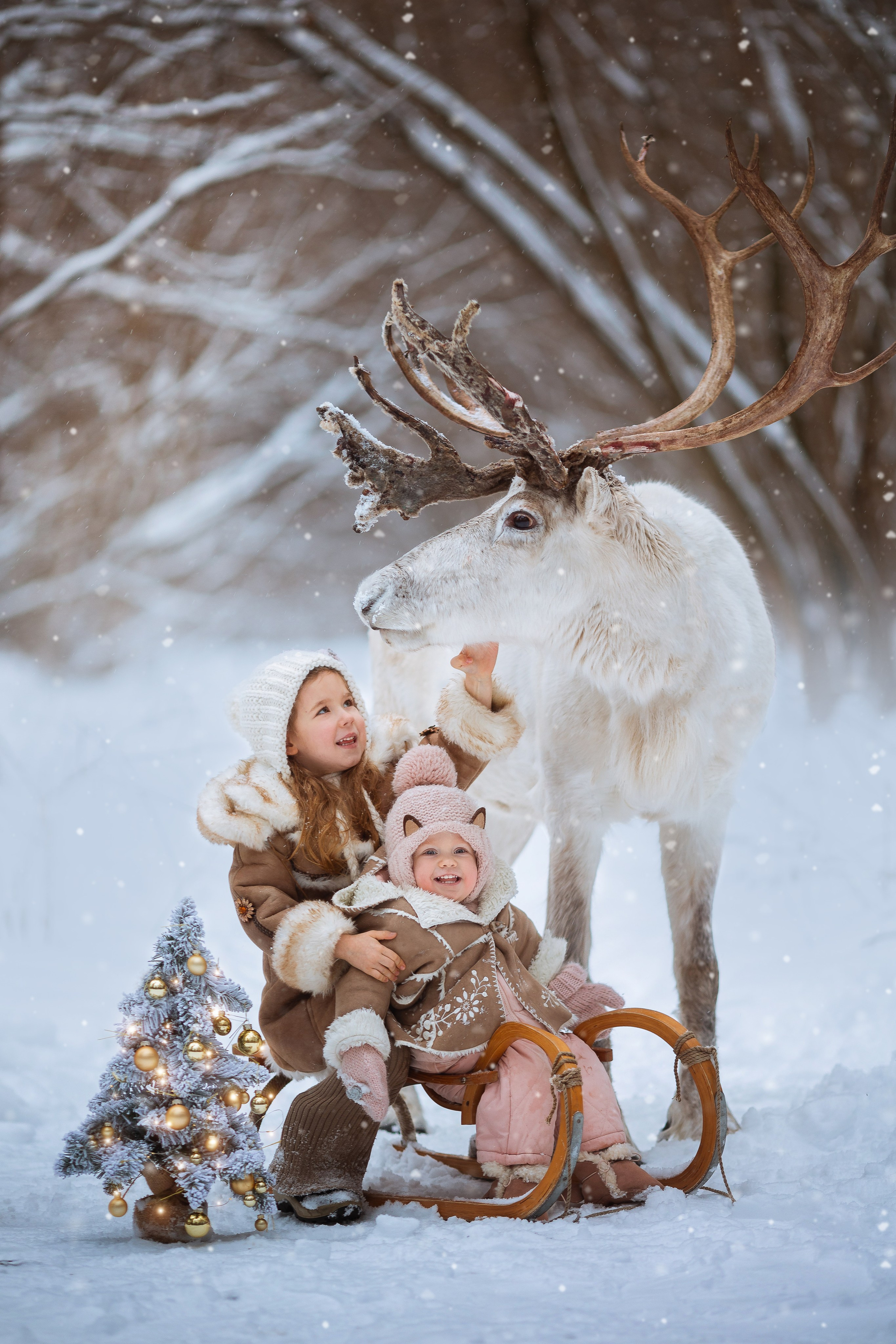 Фотосессии с оленями. Фотограф Лия Милк | Москва, Подмосковье