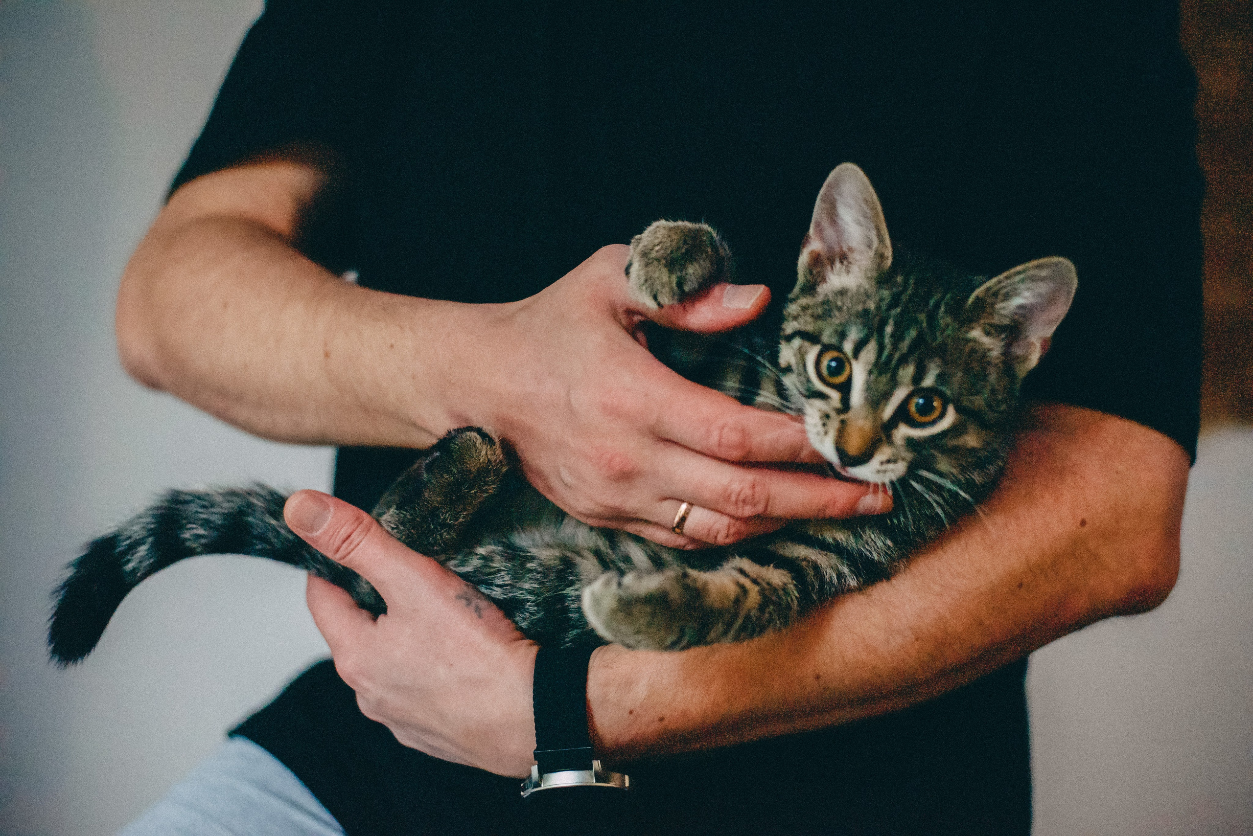 Дома 🏠 Лена, Игорь и Костя. Фотограф в Сочи — Маргарита Поганова