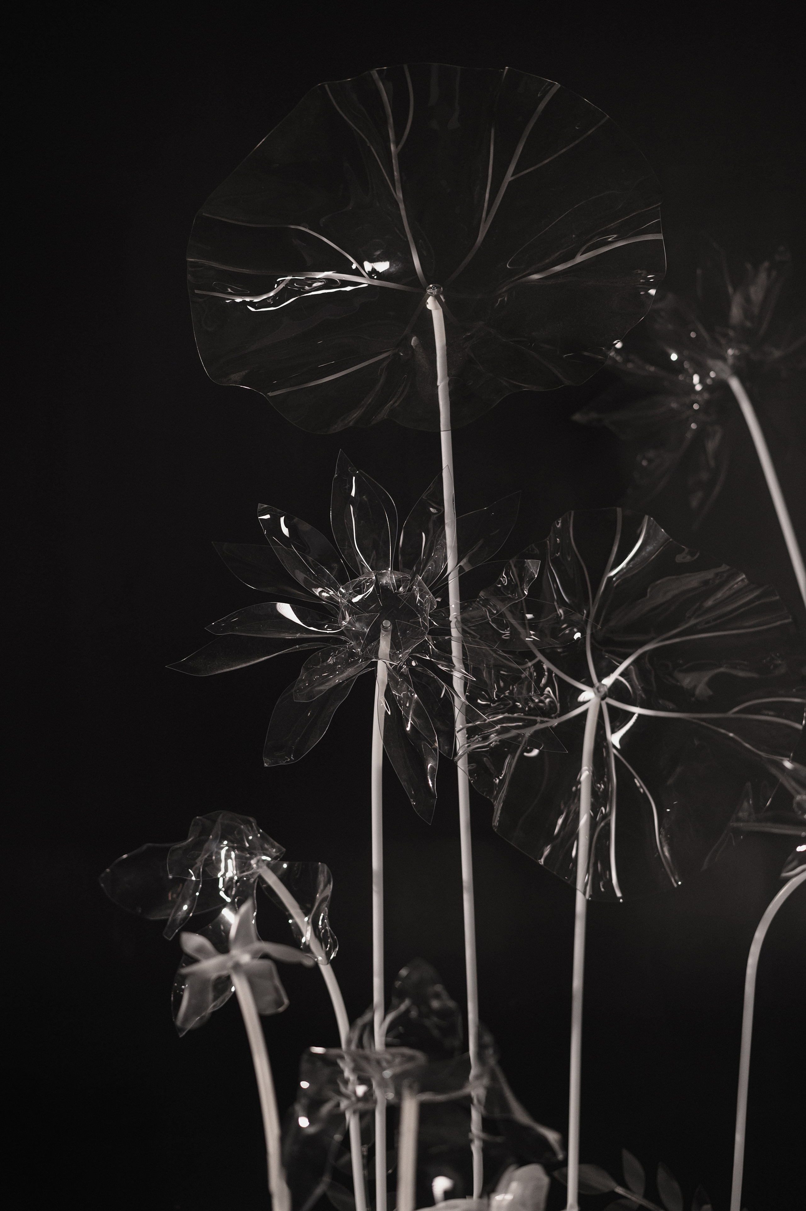 Паша и Ангелина. Свадебный фотограф и видеограф