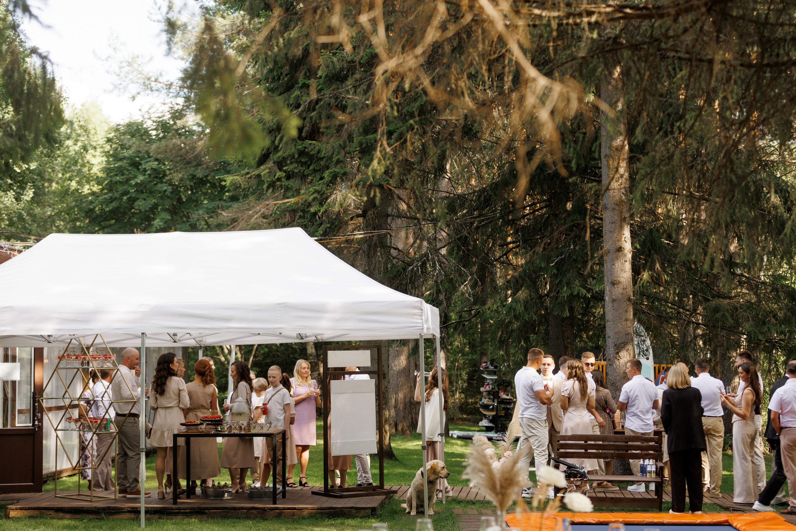 Сергей и Анастасия. Свадебный и портретный фотограф в Сыктывкаре Слава Изъюров