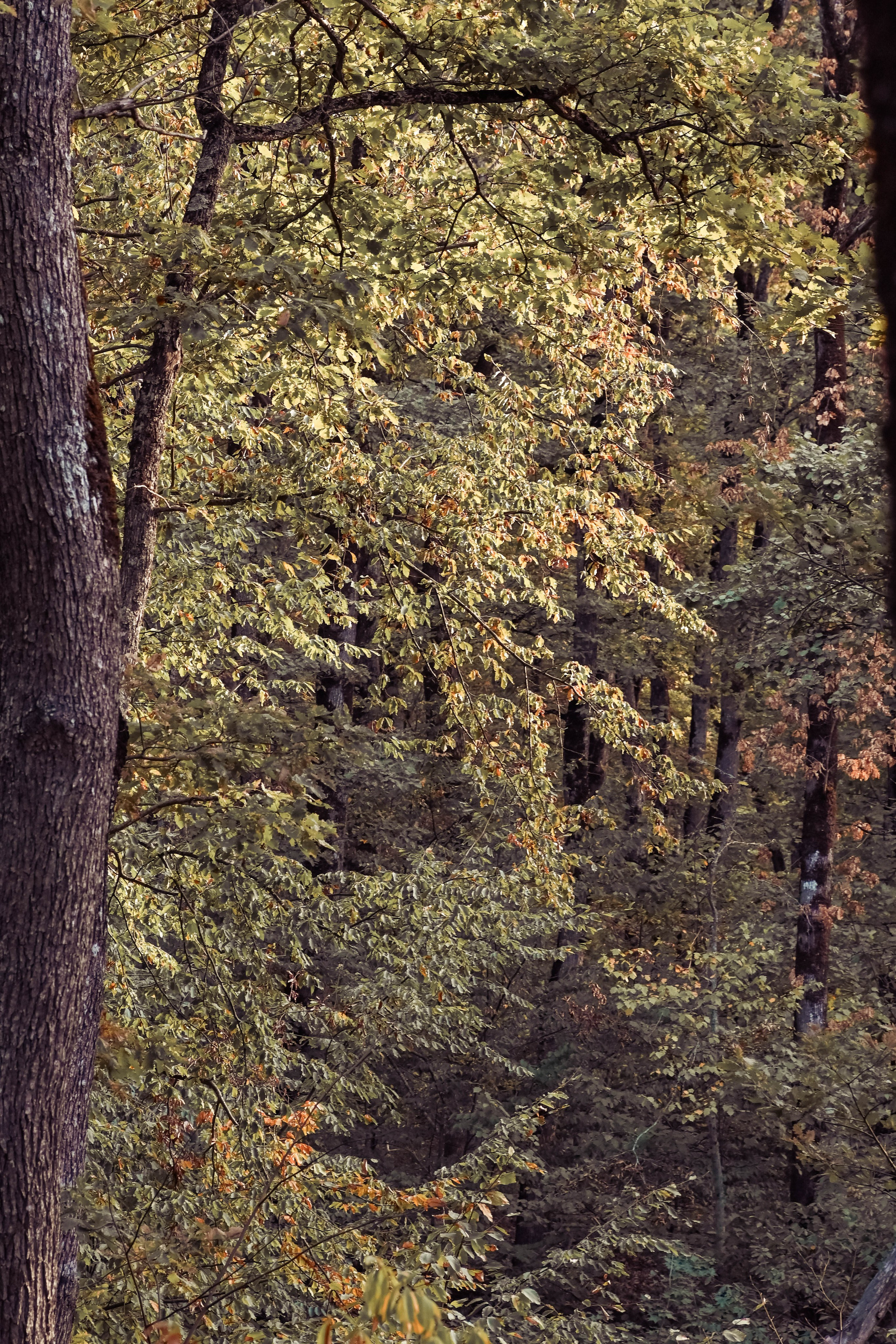 Веселые девчата. Предметный фотограф в Горячем Ключе Вера Швец