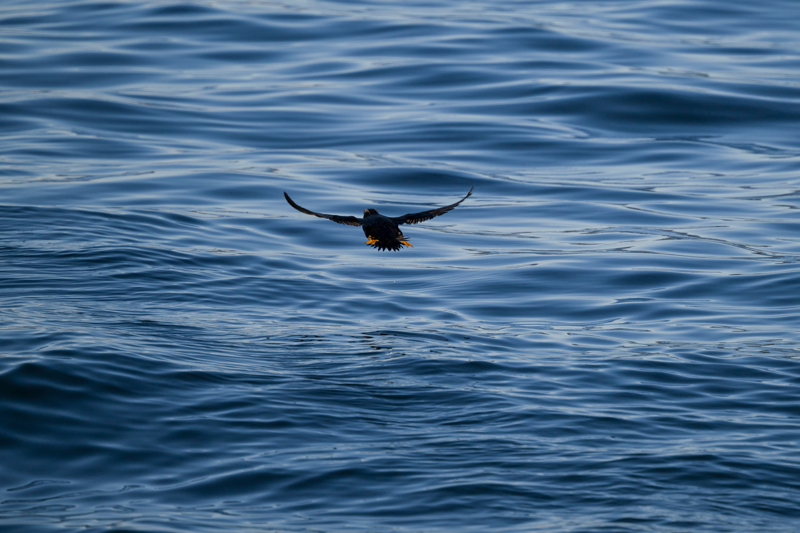 Камчатка. Портретный фотограф в Челябинске Катерина Руди