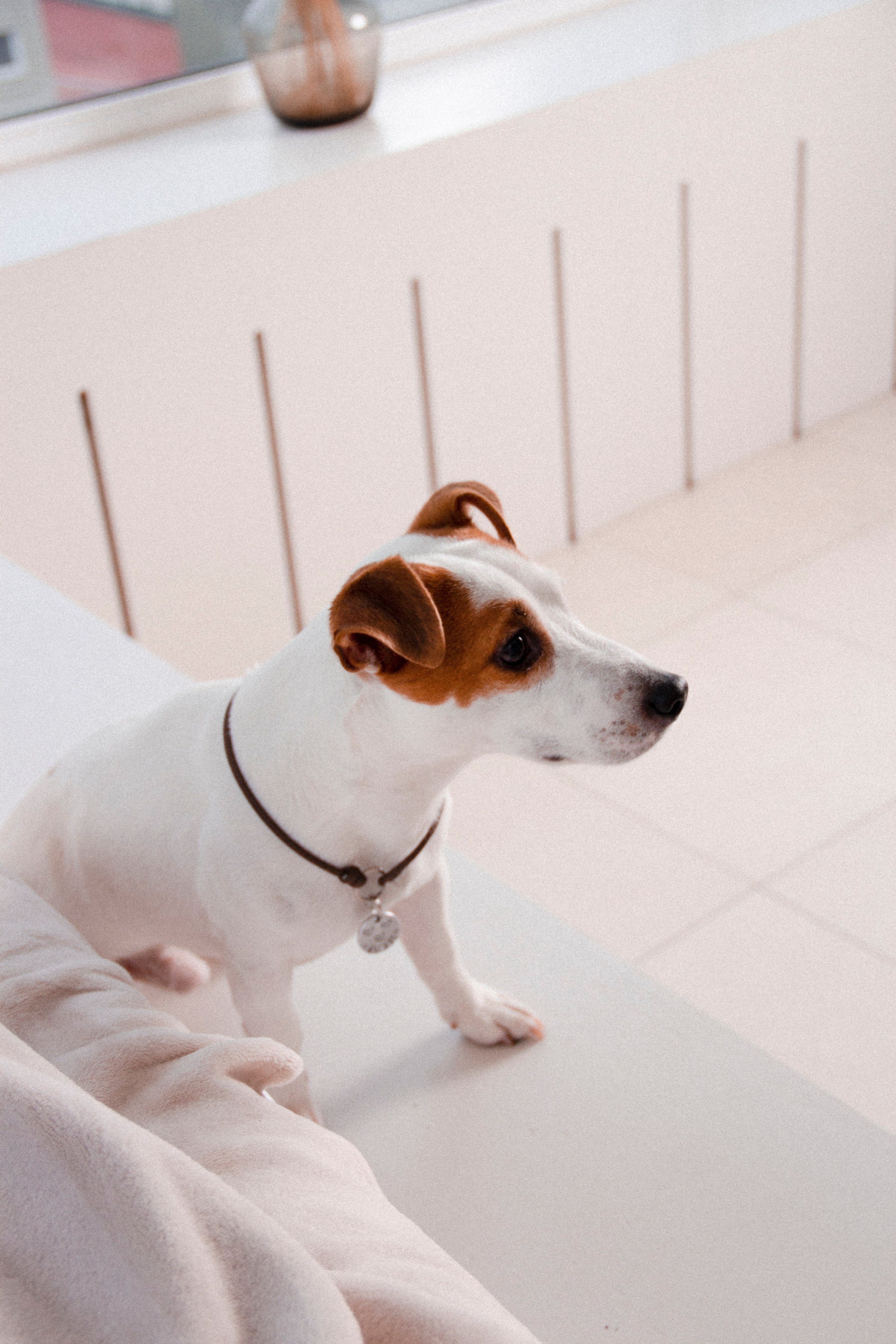 Валерия и Алексей. Фотограф в Санкт-Петербурге Смирнова Диана