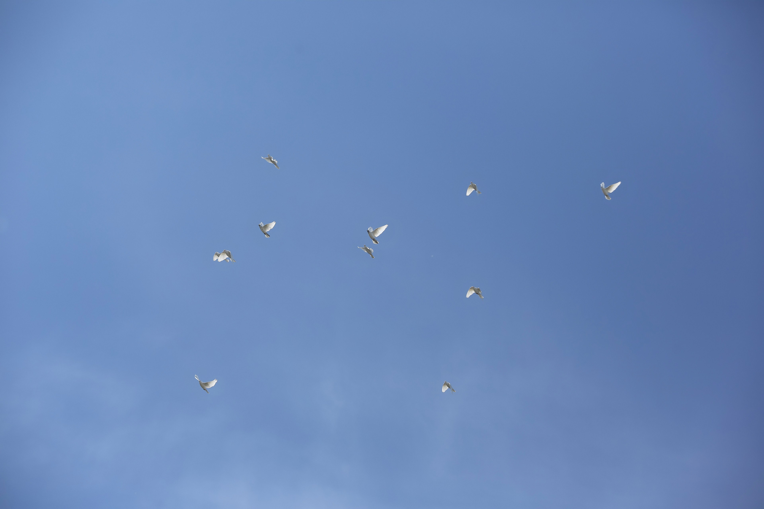 ЛИНЕЙКА «ПОСЛЕДНИЙ ЗВОНОК» 9 ШКОЛА 2024 г МЦЕНСК. ТВОЙ АЛЬБОМ / ТВОИ ПРАВИЛА