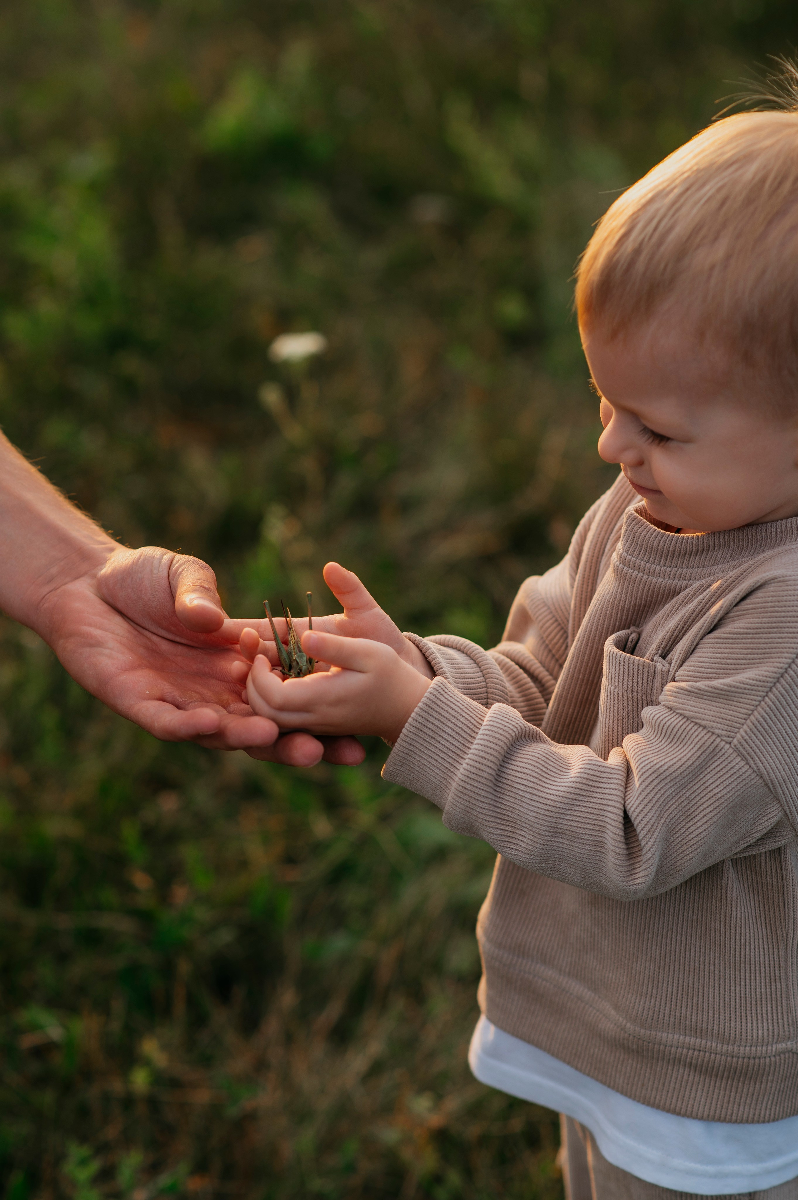 Семейная прогулка на закте. Фотограф Дарья Семина