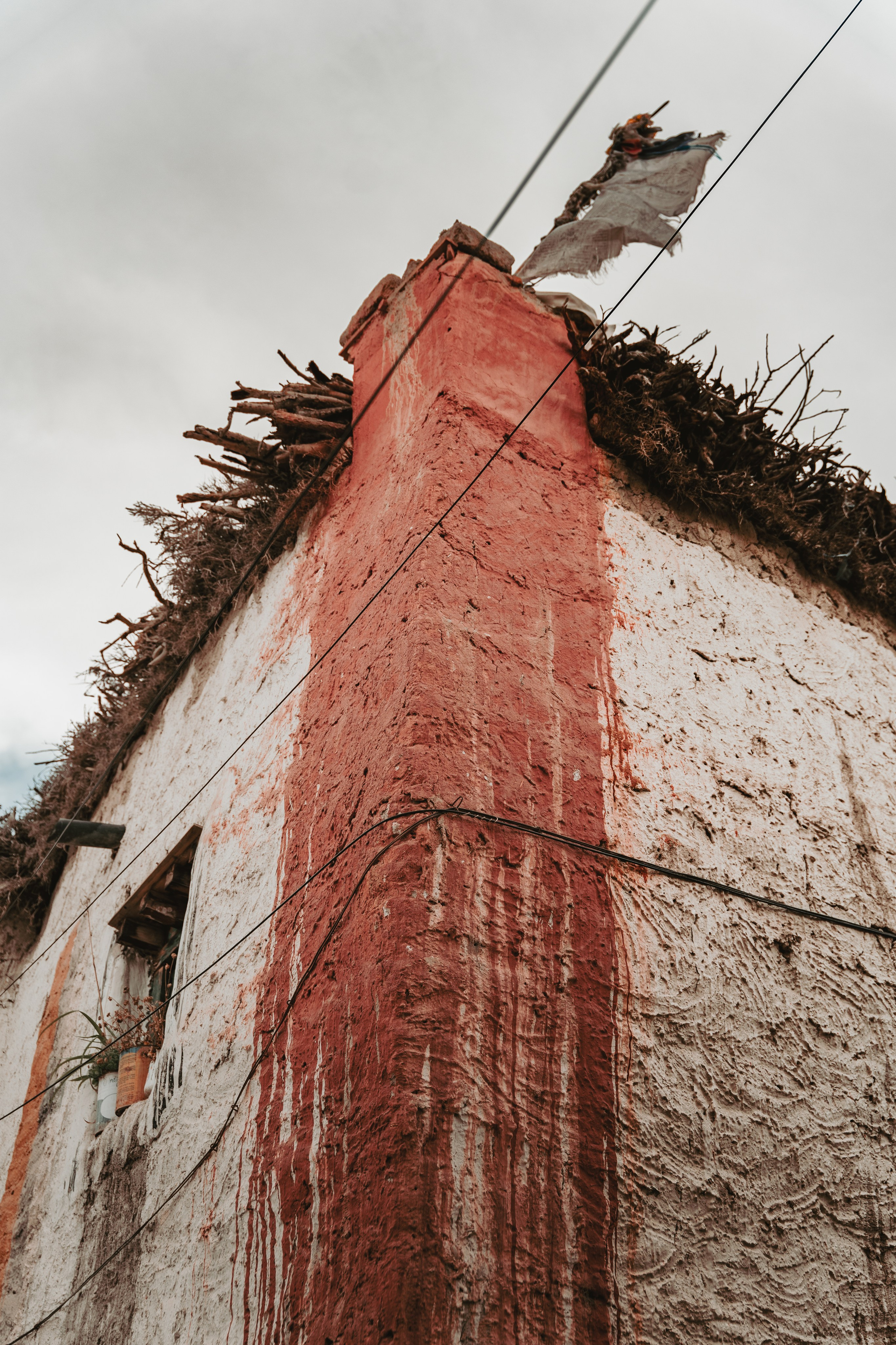 Королевство Мустанг. Dmitry Ippolitov