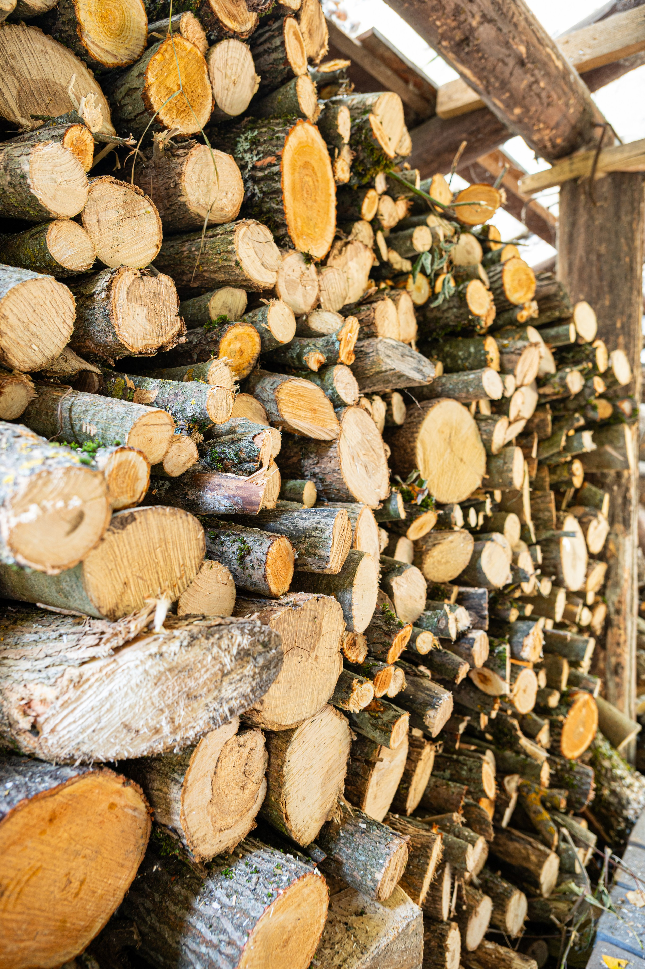 Фотосъемка для банного комплекса. Фотограф Лобанов Антон, г. Москва