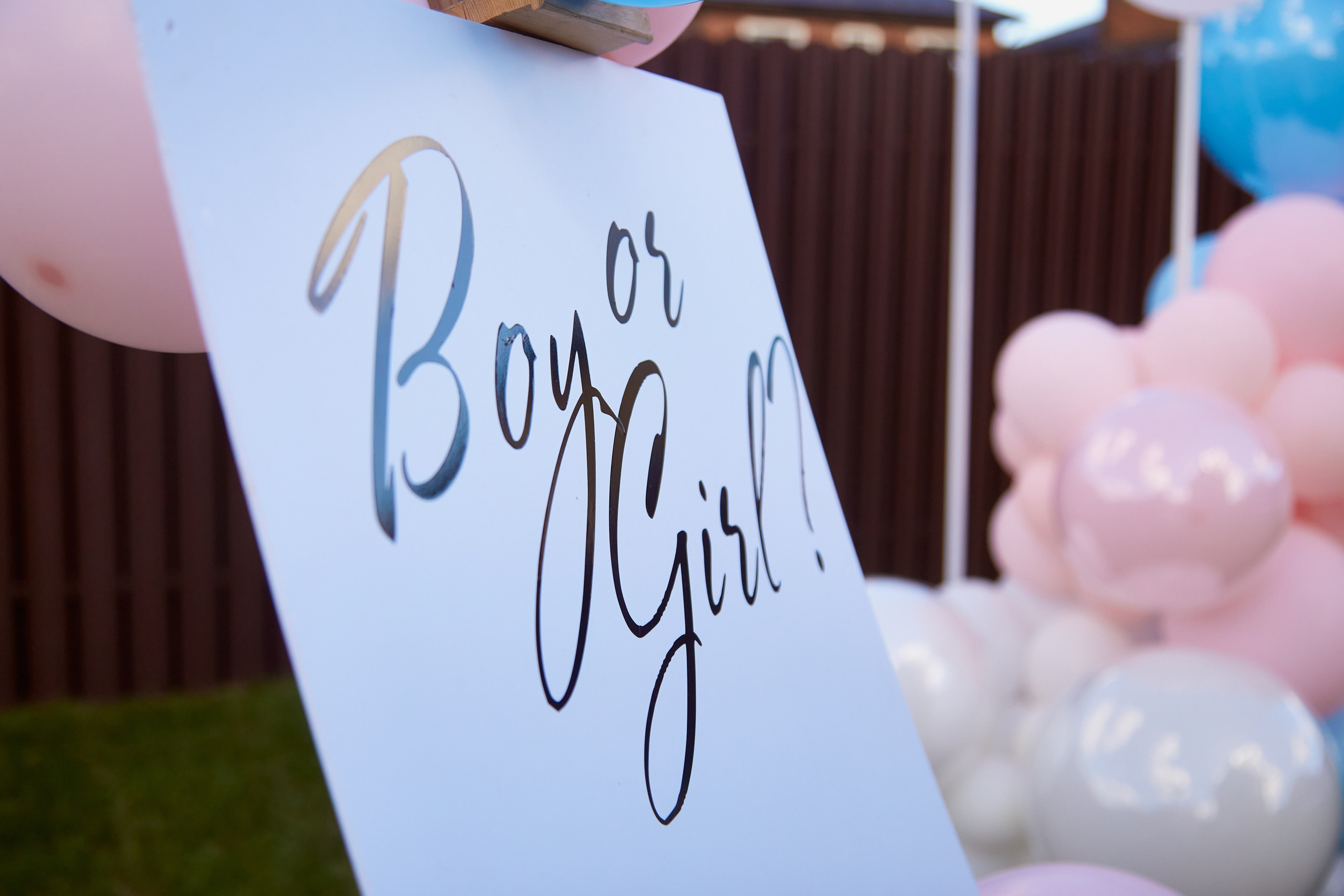 ГендерПати. Свадебный фотограф Москва и Московская область Борисов Сергей