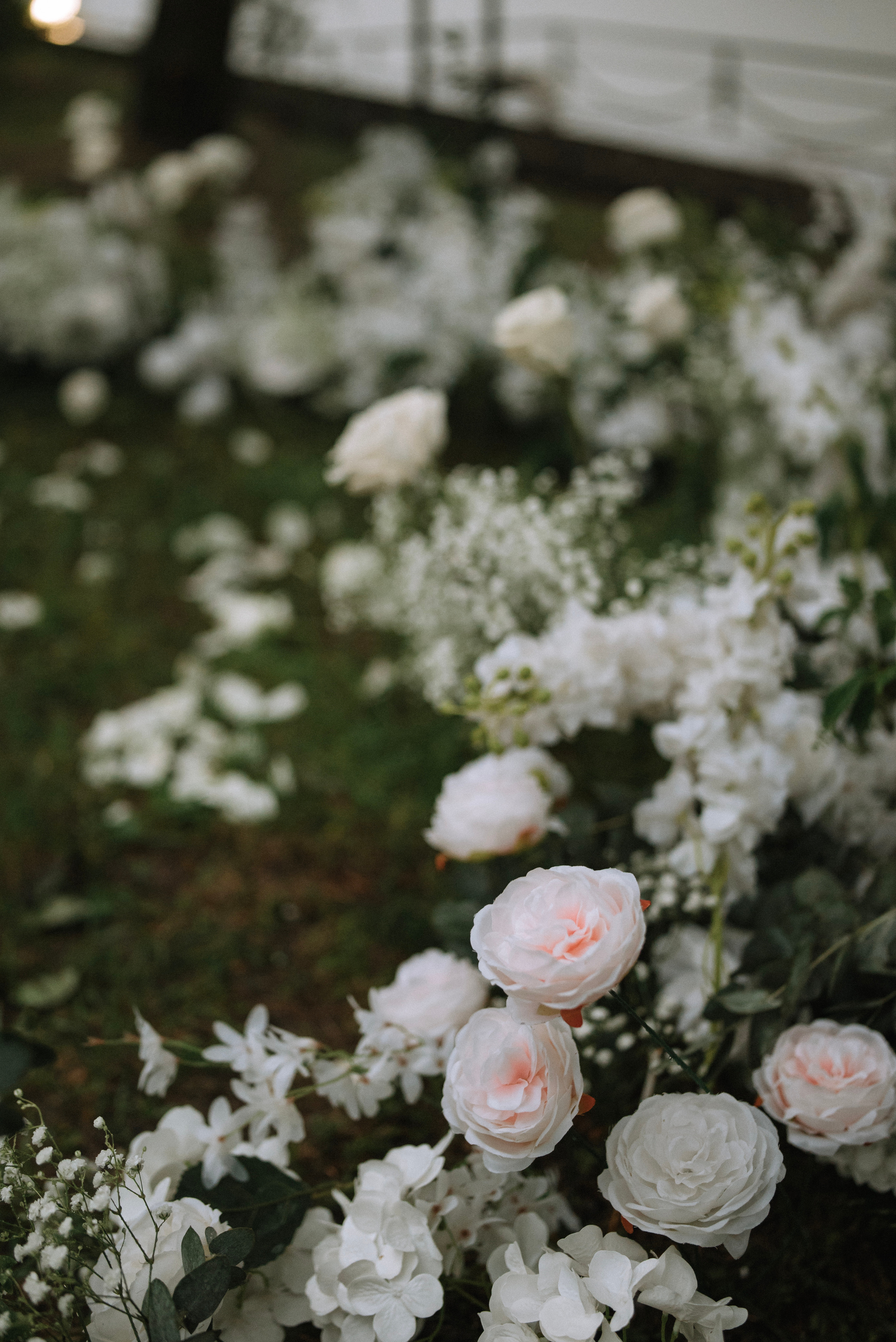 Максим и Виолетта. Фотограф Костикова Анастасия Ростов-на-Дону
