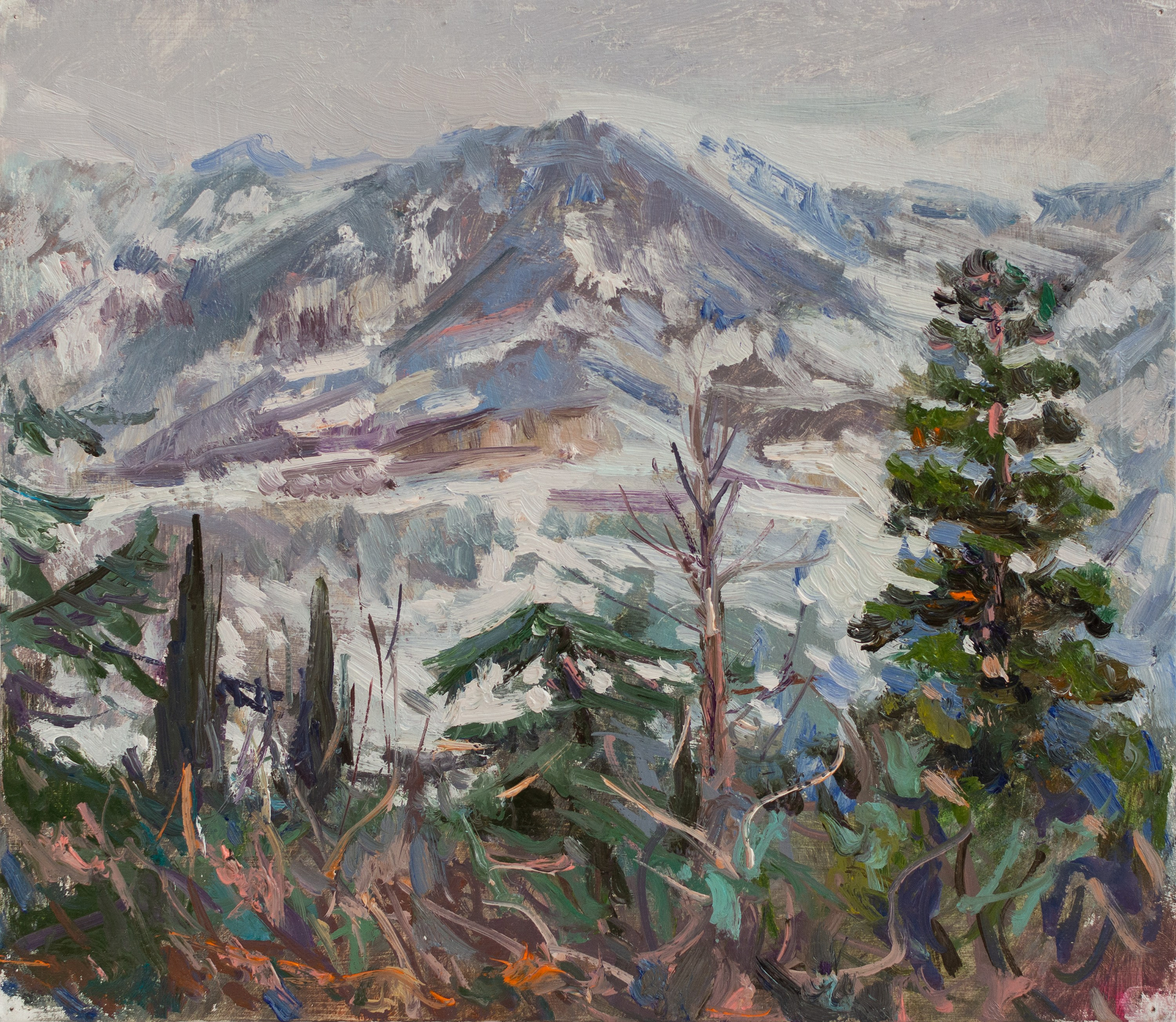 "Этюд. Ялта в снегу" картон, масло 26х29,5см, 2026