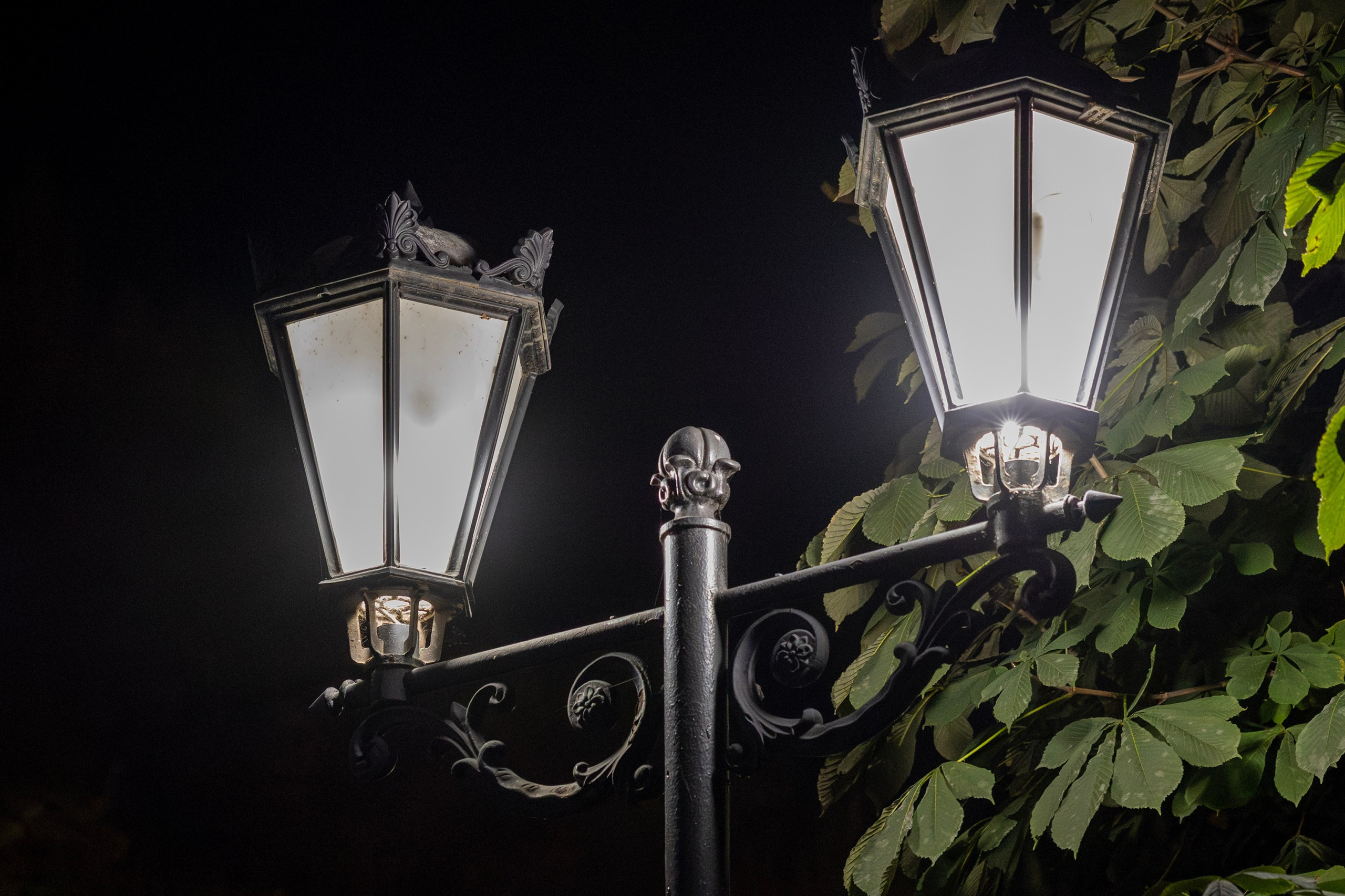 Всероссийский конкурс Проводники смыслов. Репортажный и портретный фотограф в Владивостоке