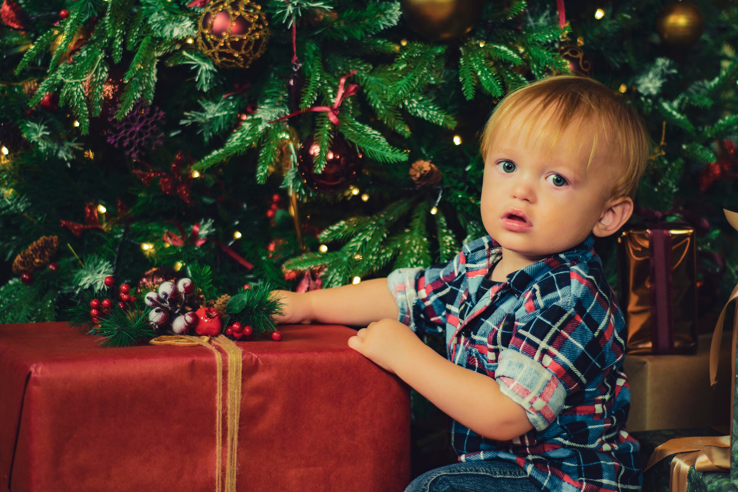 Семья Данишевские. Алена Смирнова — фотограф и видеомейкер