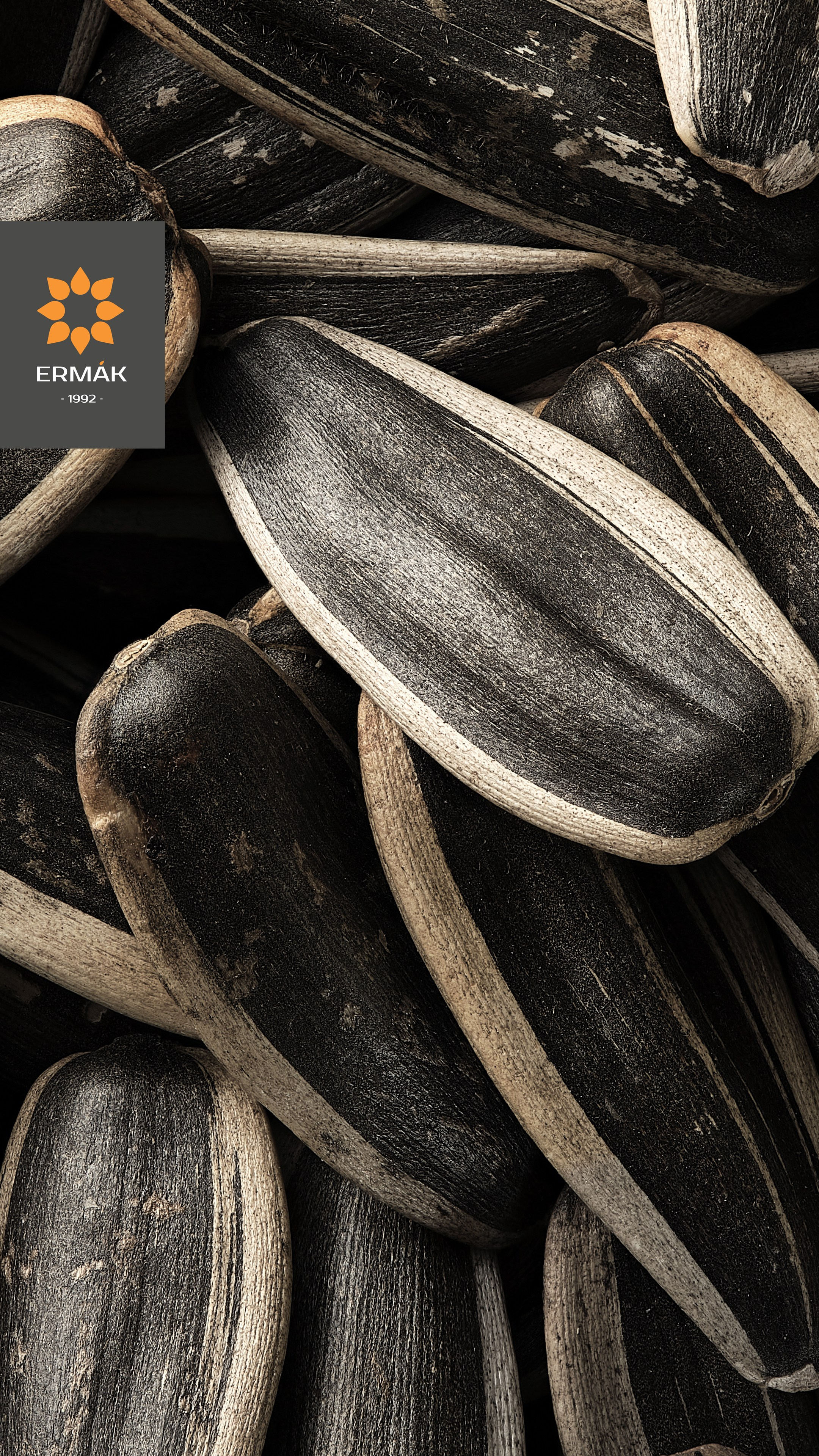 Профессиональная фуд-фотосъёмка семян подсолнечника ERMAK в Алматы — крупный план неочищенных семечек на чёрном фоне. Съёмка для каталога и упаковки.