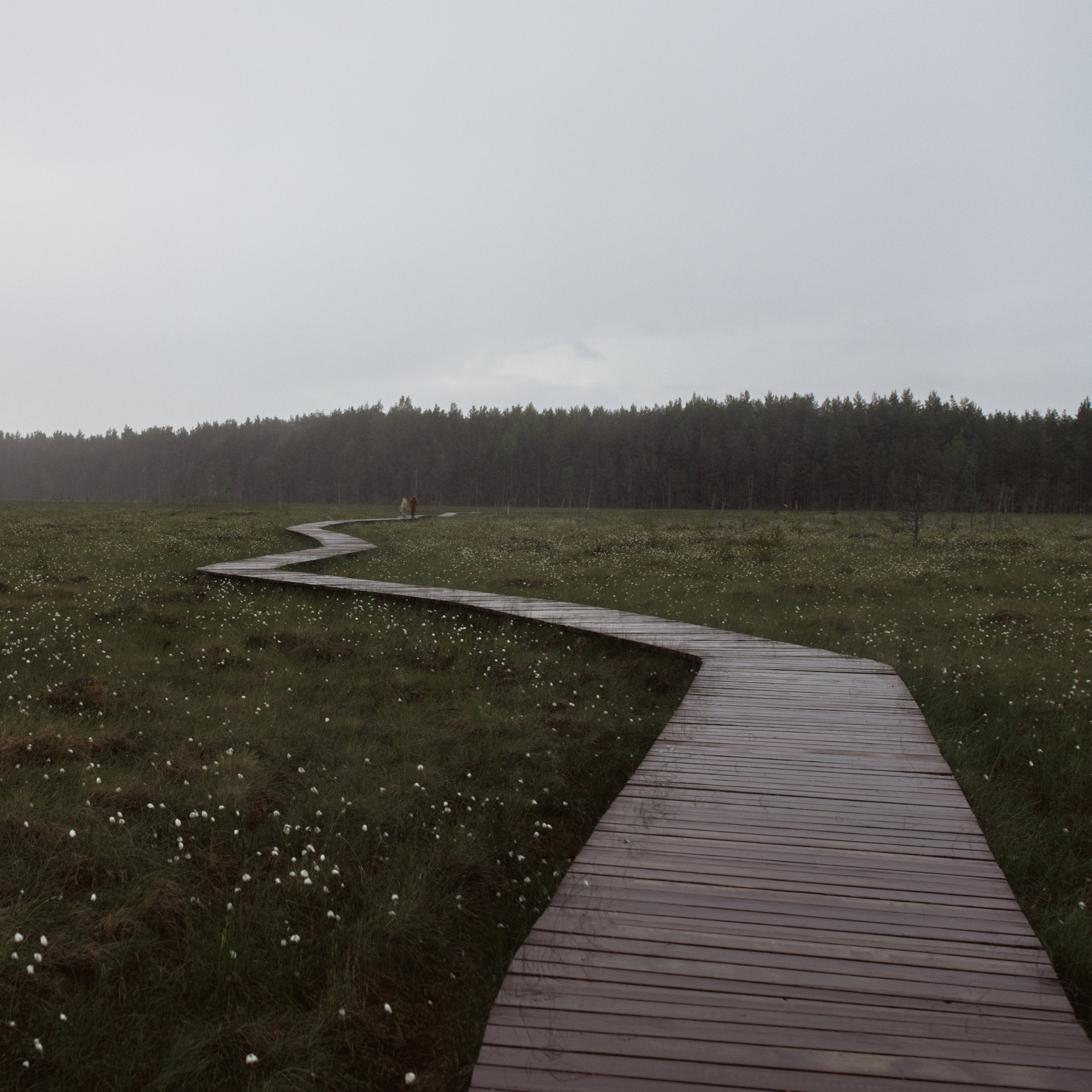 Nature. Артем Корнев Фотограф