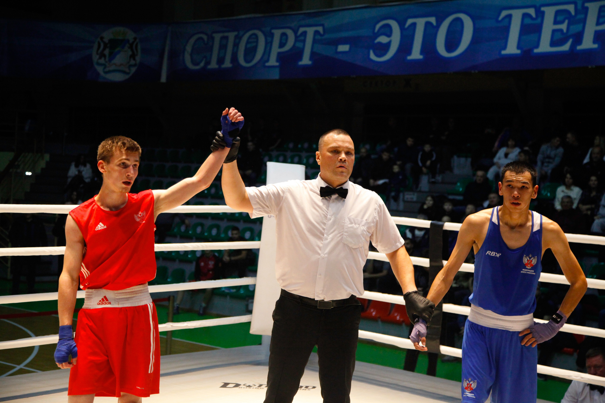 БОКС. Фото. Спортивный фотограф, трансляция, звук и свет в Новосибирске