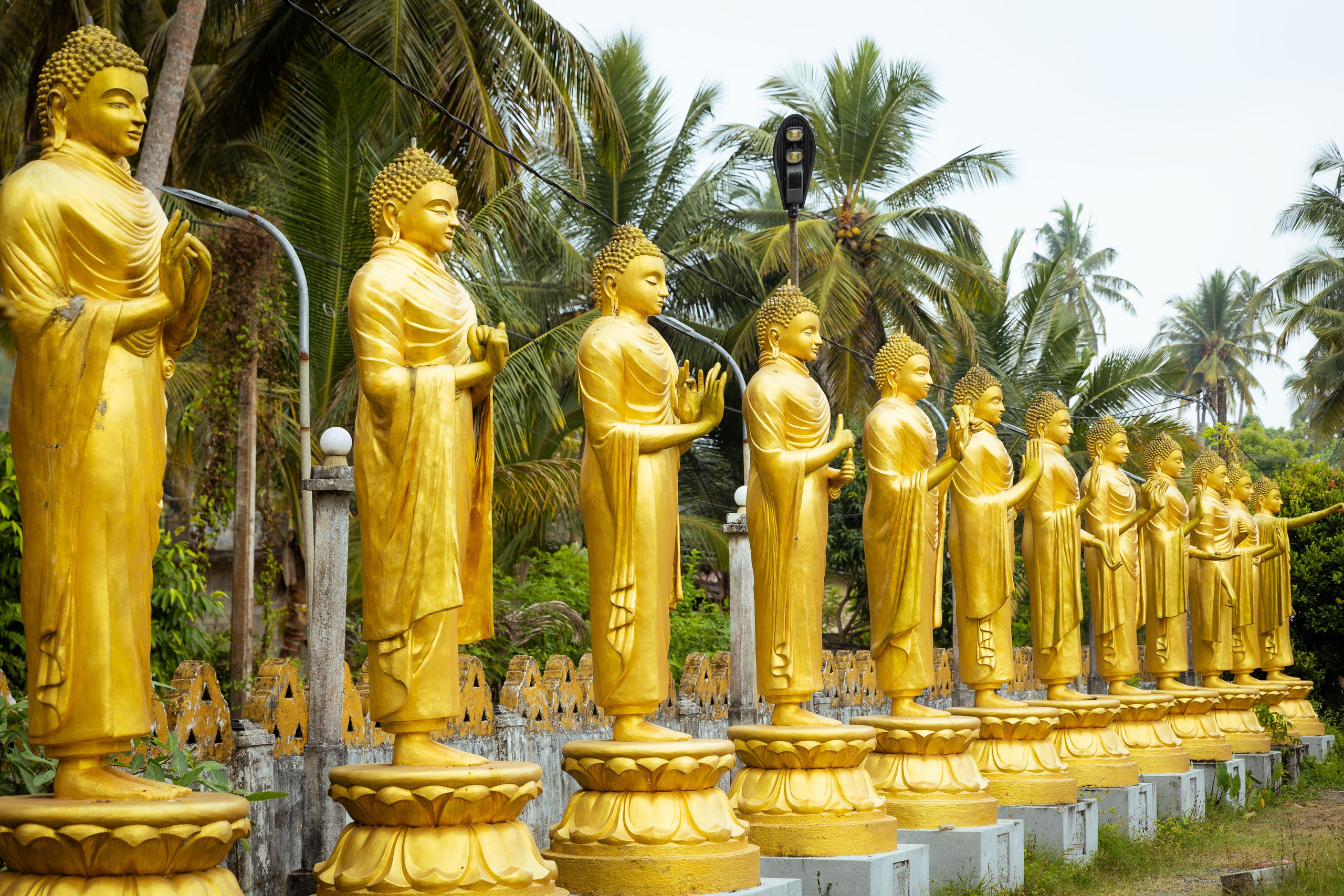 Шри-Ланка (весна 2024). Фотограф Виноградов Константин