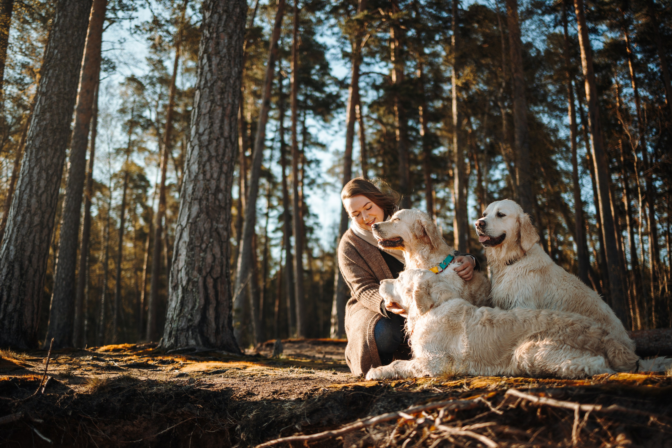 Катя и ее девочки. Фотограф — Анималист | Санкт-Петербург