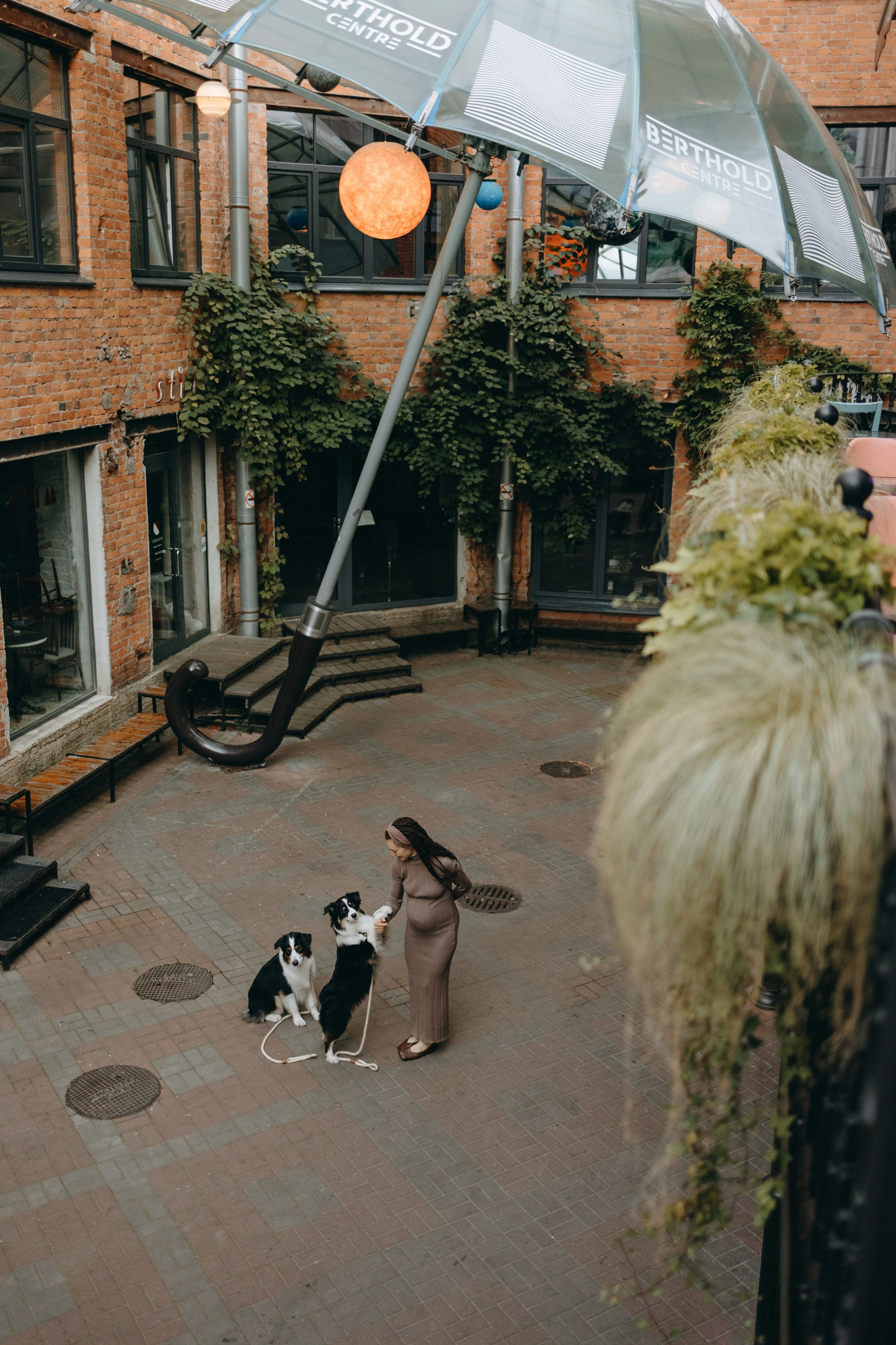 Катя и ее девочки. Фотограф — Анималист | Санкт-Петербург