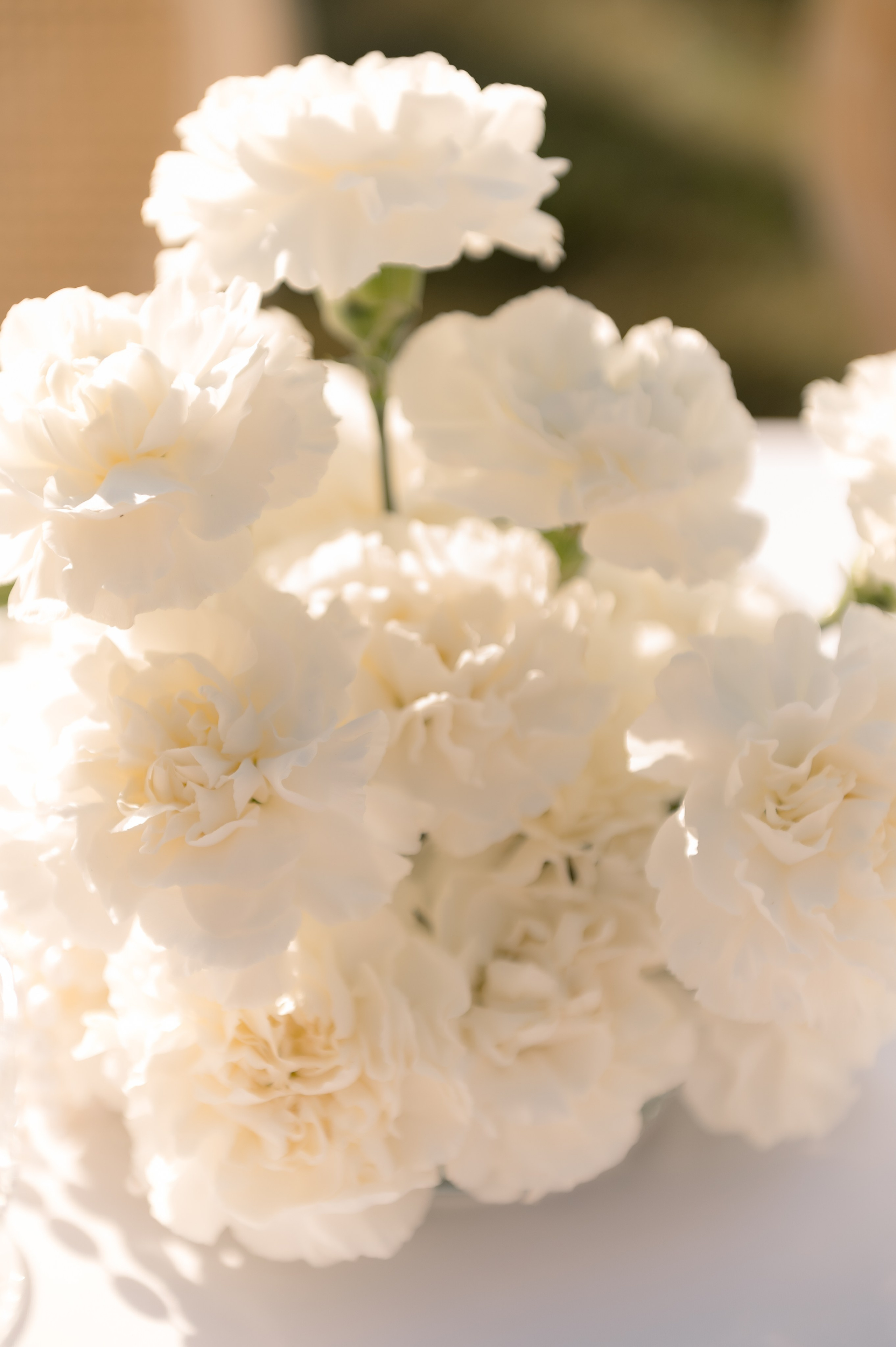 Павел и Алина. Главная