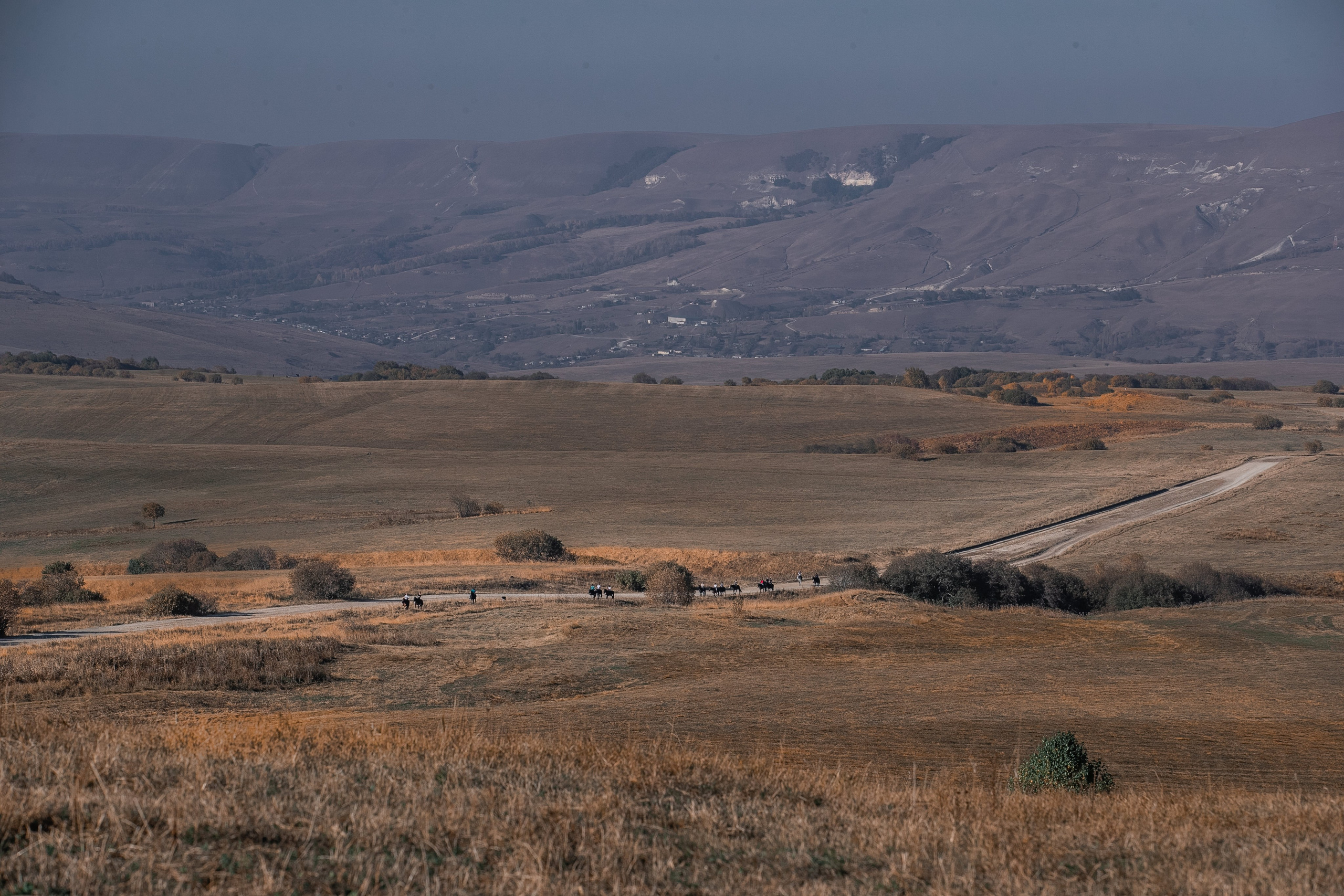 Фототуры в Карачаево-Черкессии 2019-2020. Фотограф-анималист Ксендзова Кристина