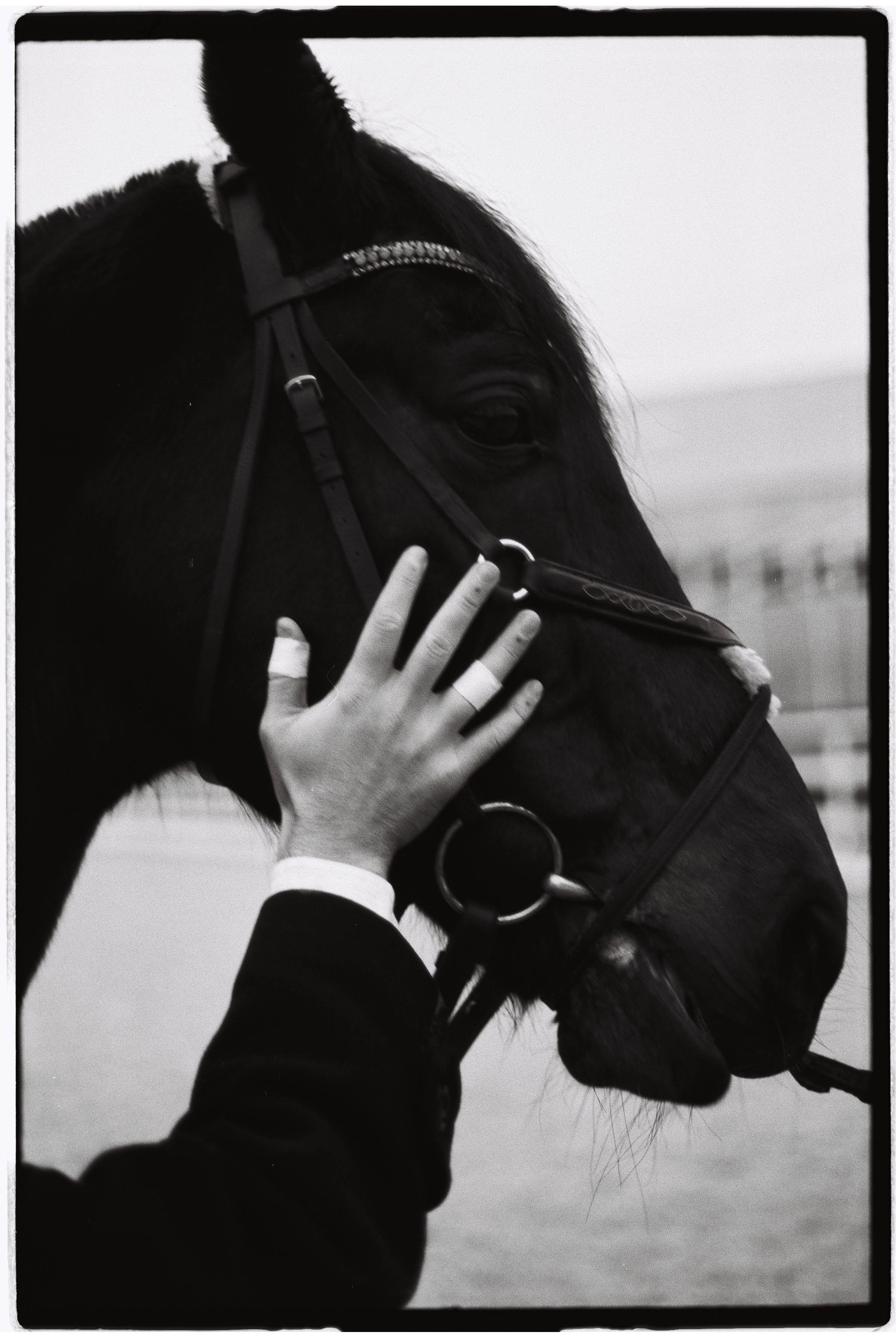 VLADIMIR. MARK DOROHOV