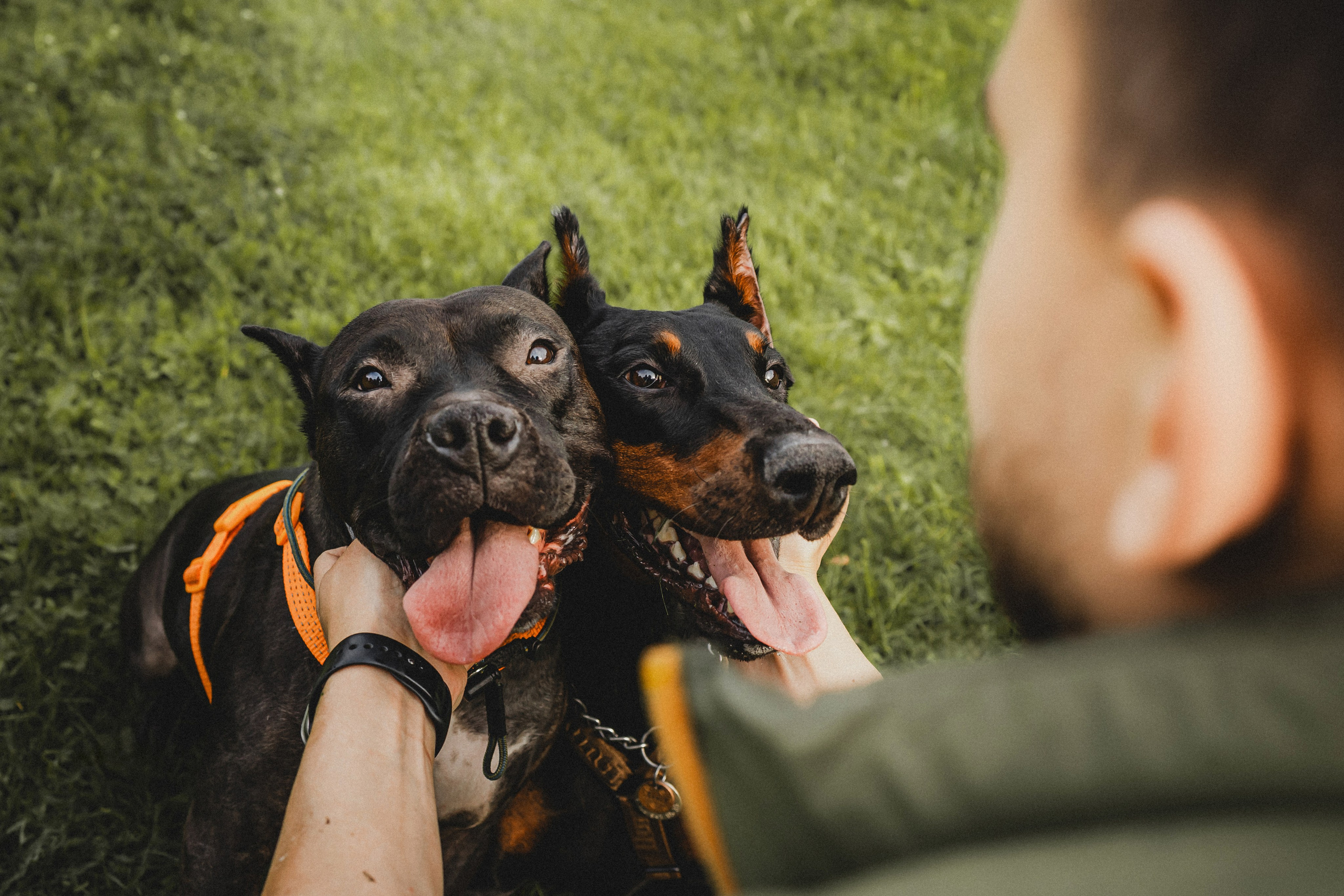 Паша, Хайди и Тея