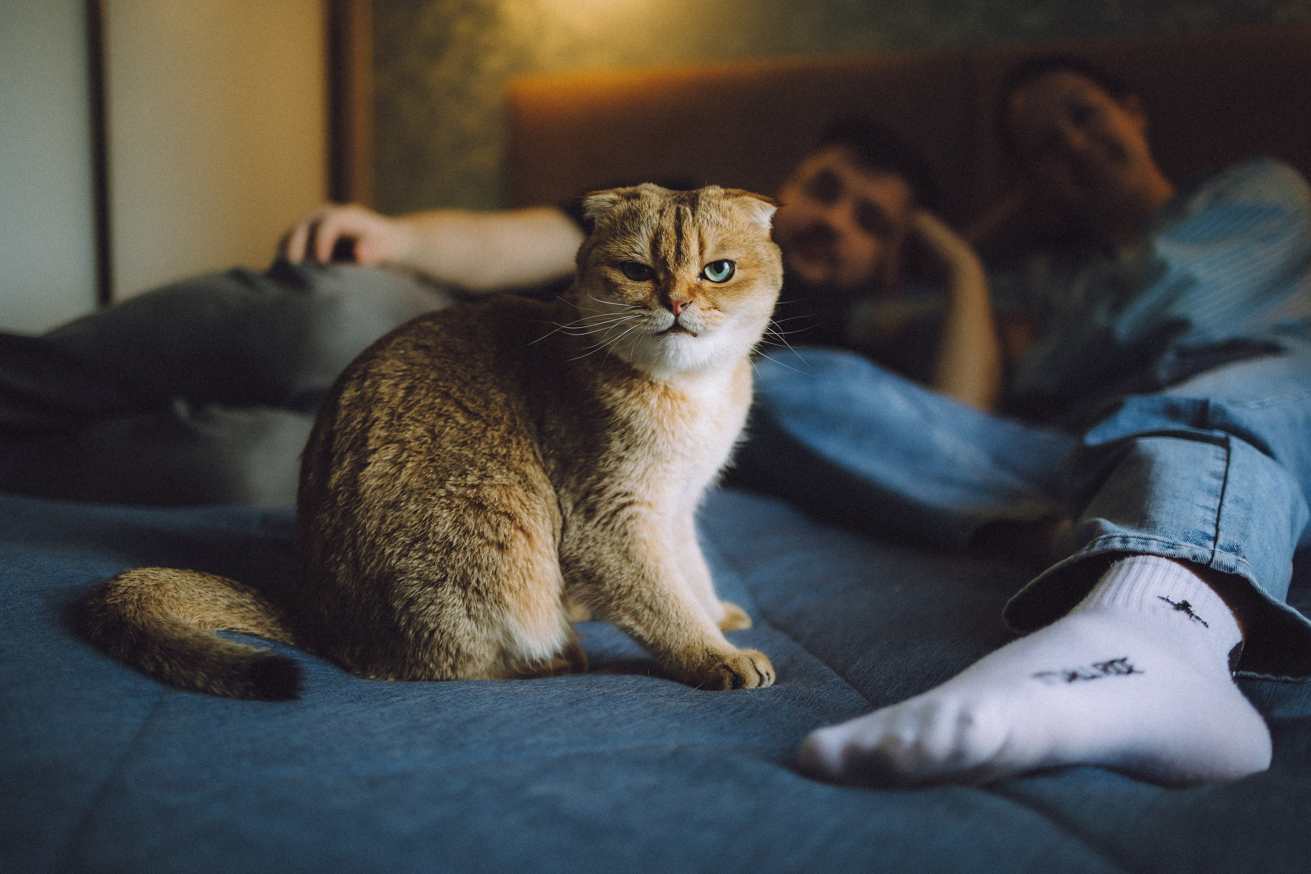 Генри и его семья