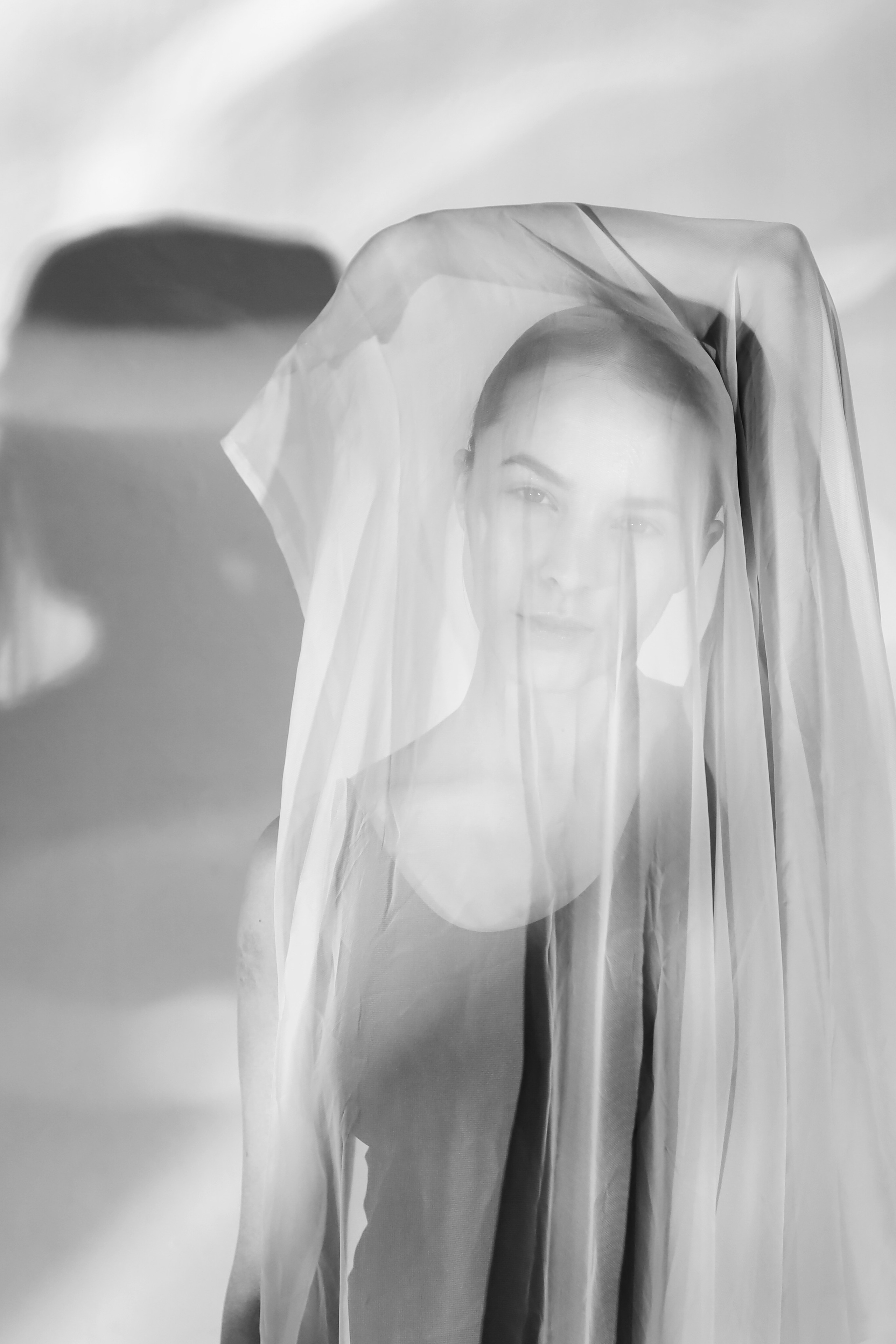 Лилия. Художественная фотография