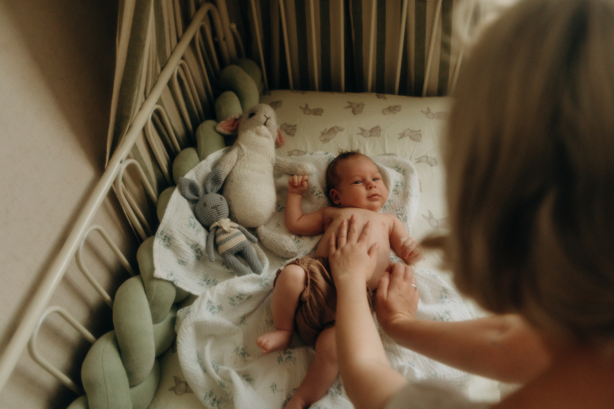 Нежность. Свадебный и семейный фотограф Арестенко Анастасия