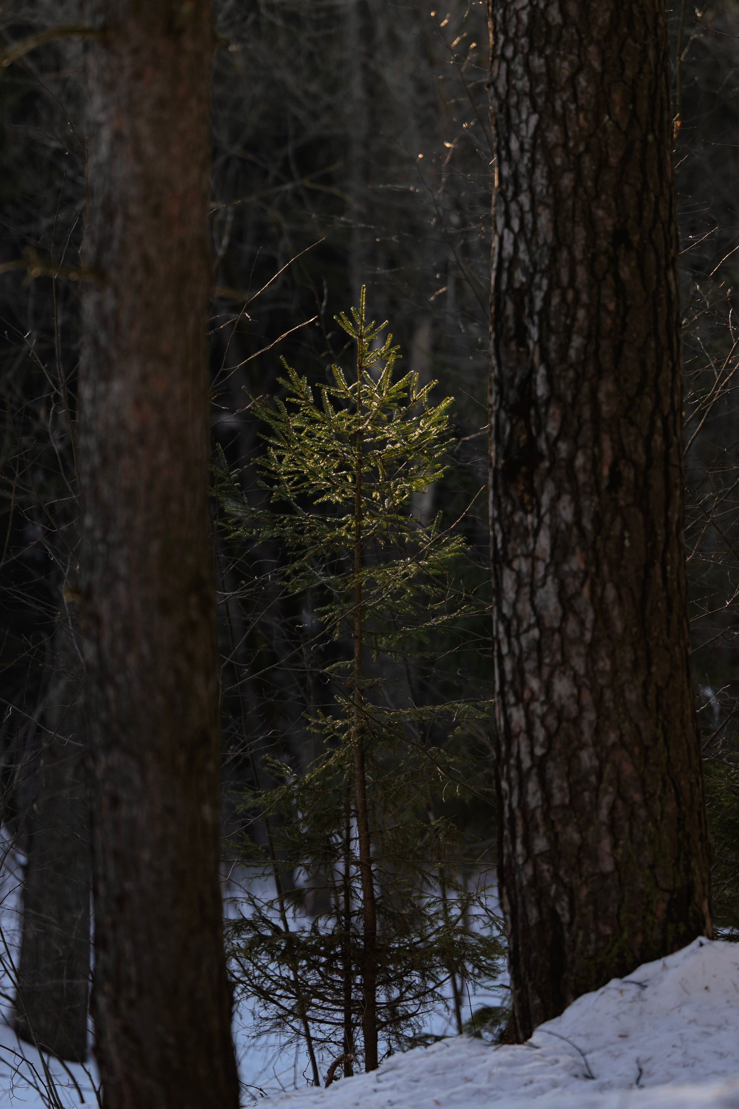 Street photo. Фотограф в Казани, и Зеленодольске Радик Мухаметов